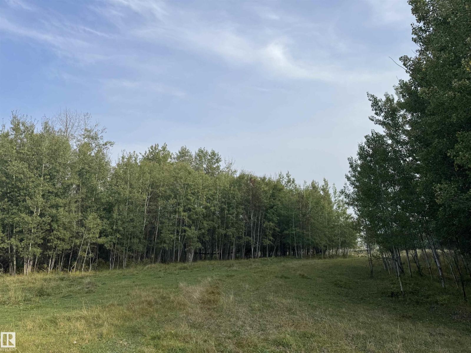 On Twp 484, Rural Brazeau County, Alberta  T0C 0A0 - Photo 63 - E4456901