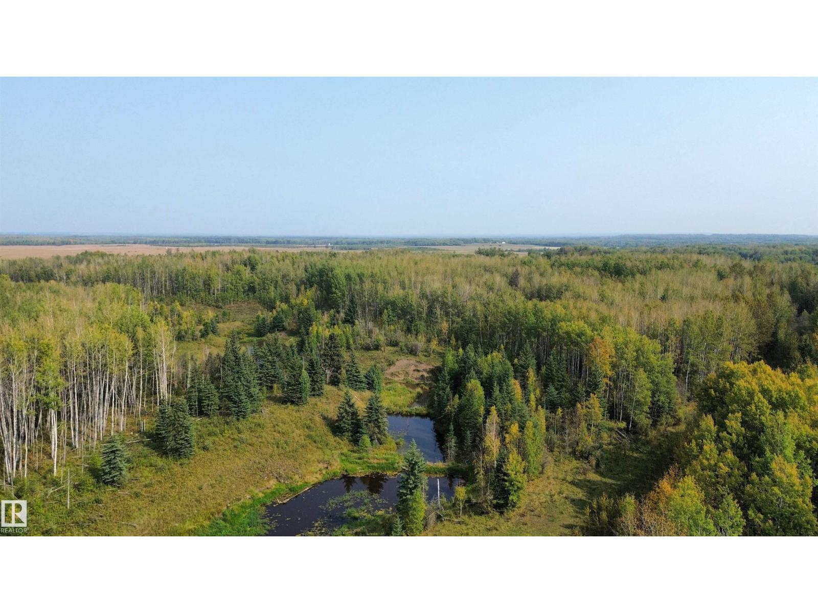 On Twp 484, Rural Brazeau County, Alberta  T0C 0A0 - Photo 7 - E4456901