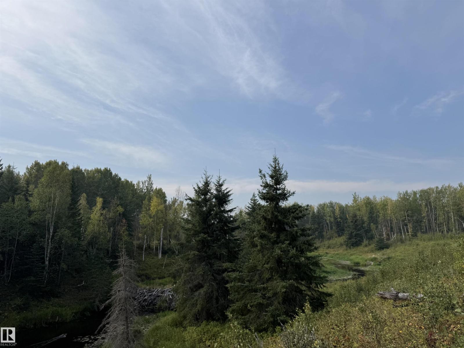 On Twp 484, Rural Brazeau County, Alberta  T0C 0A0 - Photo 9 - E4456901