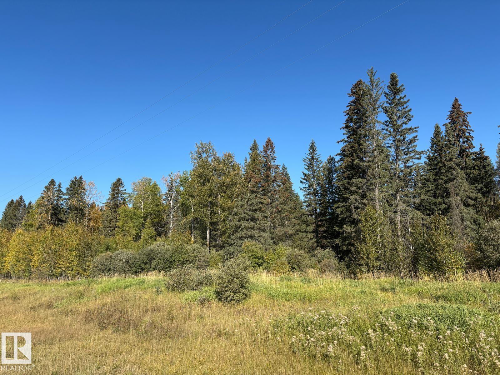Range Road 83 Twp Rd 482, Rural Brazeau County, Alberta  T7A 0C1 - Photo 4 - E4458407