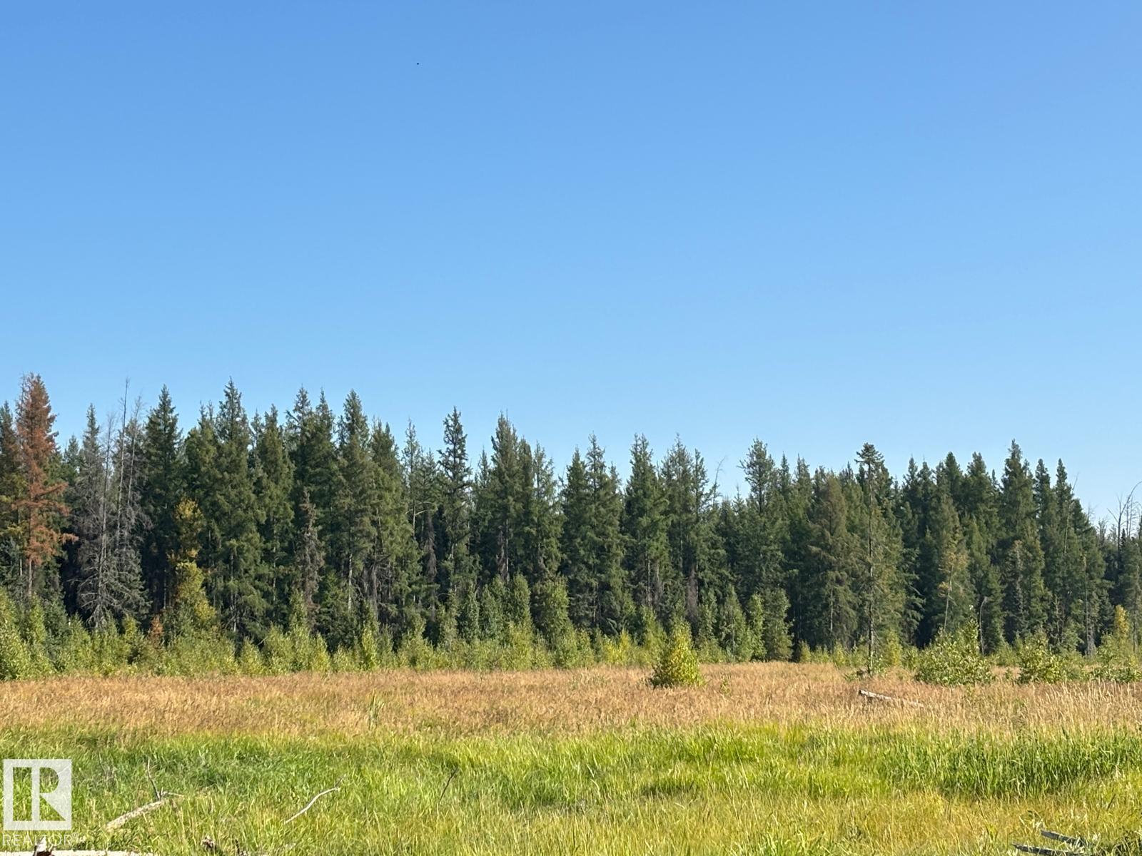 Range Road 83 Twp Rd 482, Rural Brazeau County, Alberta  T7A 0C1 - Photo 5 - E4458407