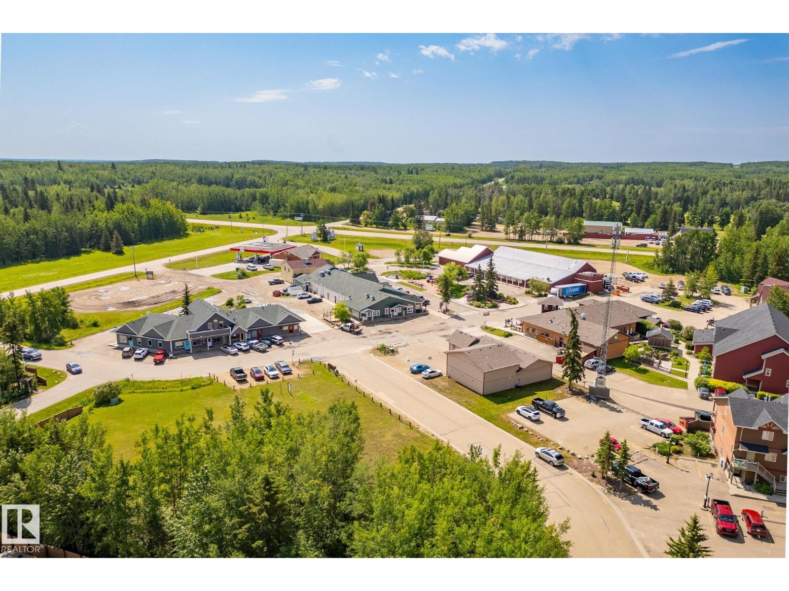 462054 Rge Road 11, Rural Wetaskiwin County, Alberta  T0C 2V0 - Photo 3 - E4458765
