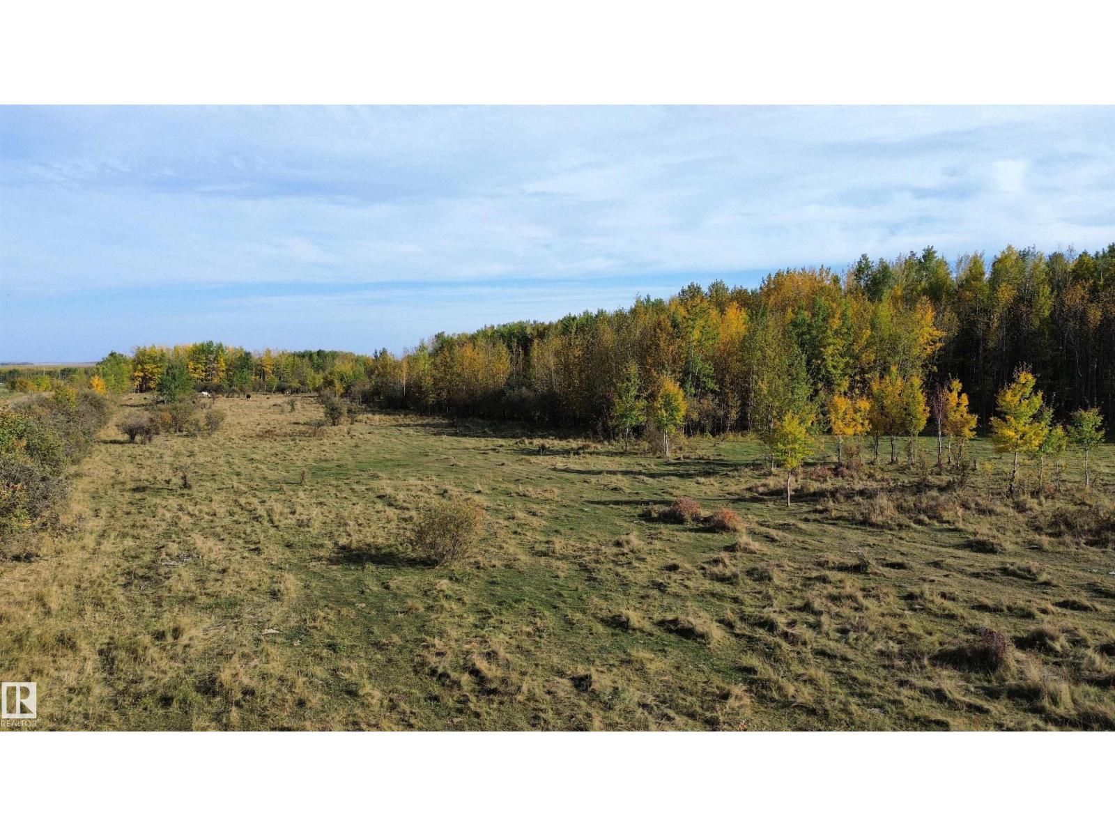 On Twp Rd 505, Rural Brazeau County, Alberta  T7A 2A2 - Photo 10 - E4459876