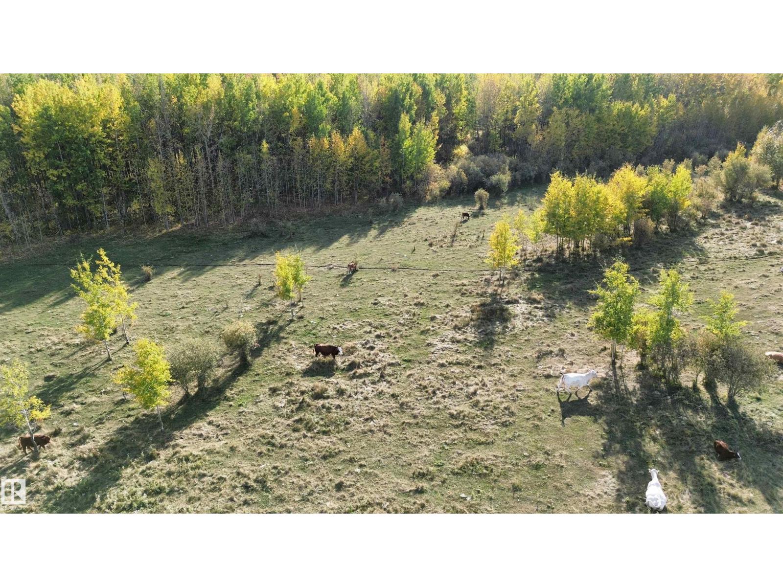 On Twp Rd 505, Rural Brazeau County, Alberta  T7A 2A2 - Photo 11 - E4459876