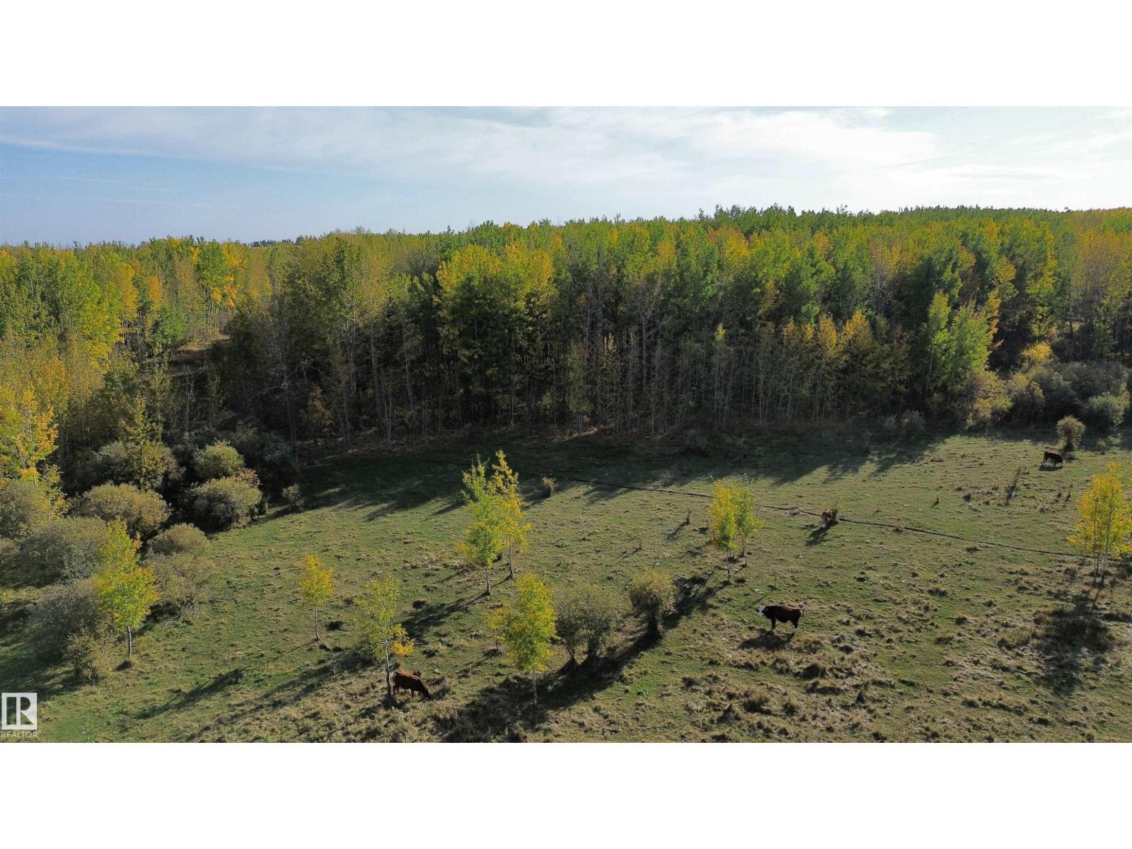 On Twp Rd 505, Rural Brazeau County, Alberta  T7A 2A2 - Photo 12 - E4459876