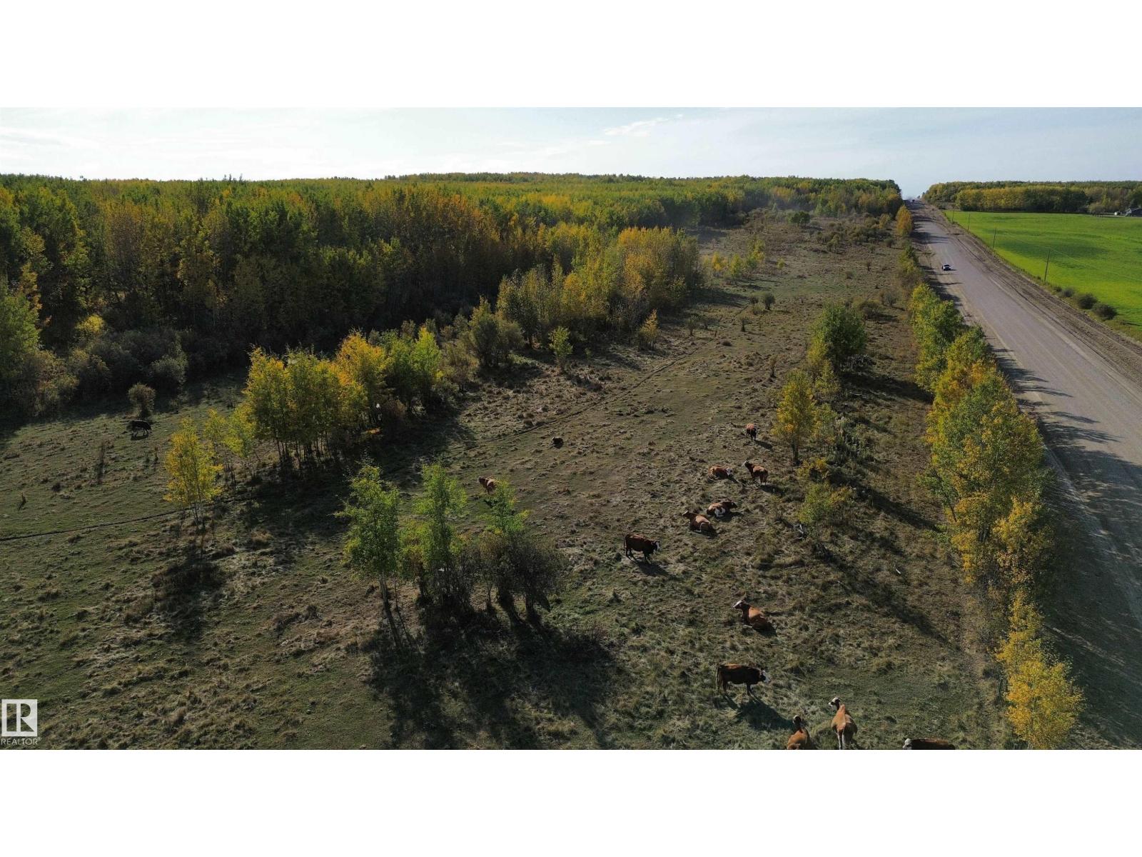 On Twp Rd 505, Rural Brazeau County, Alberta  T7A 2A2 - Photo 13 - E4459876
