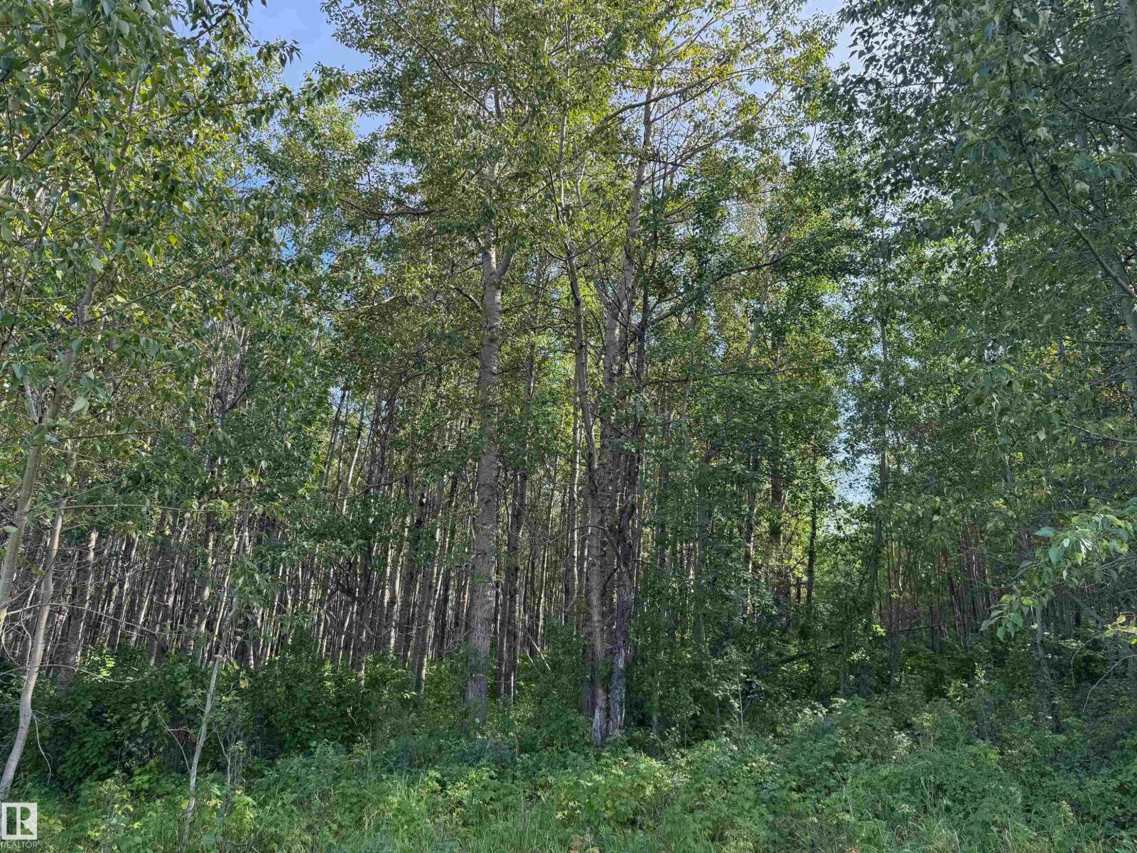 On Twp Rd 505, Rural Brazeau County, Alberta  T7A 2A2 - Photo 14 - E4459876