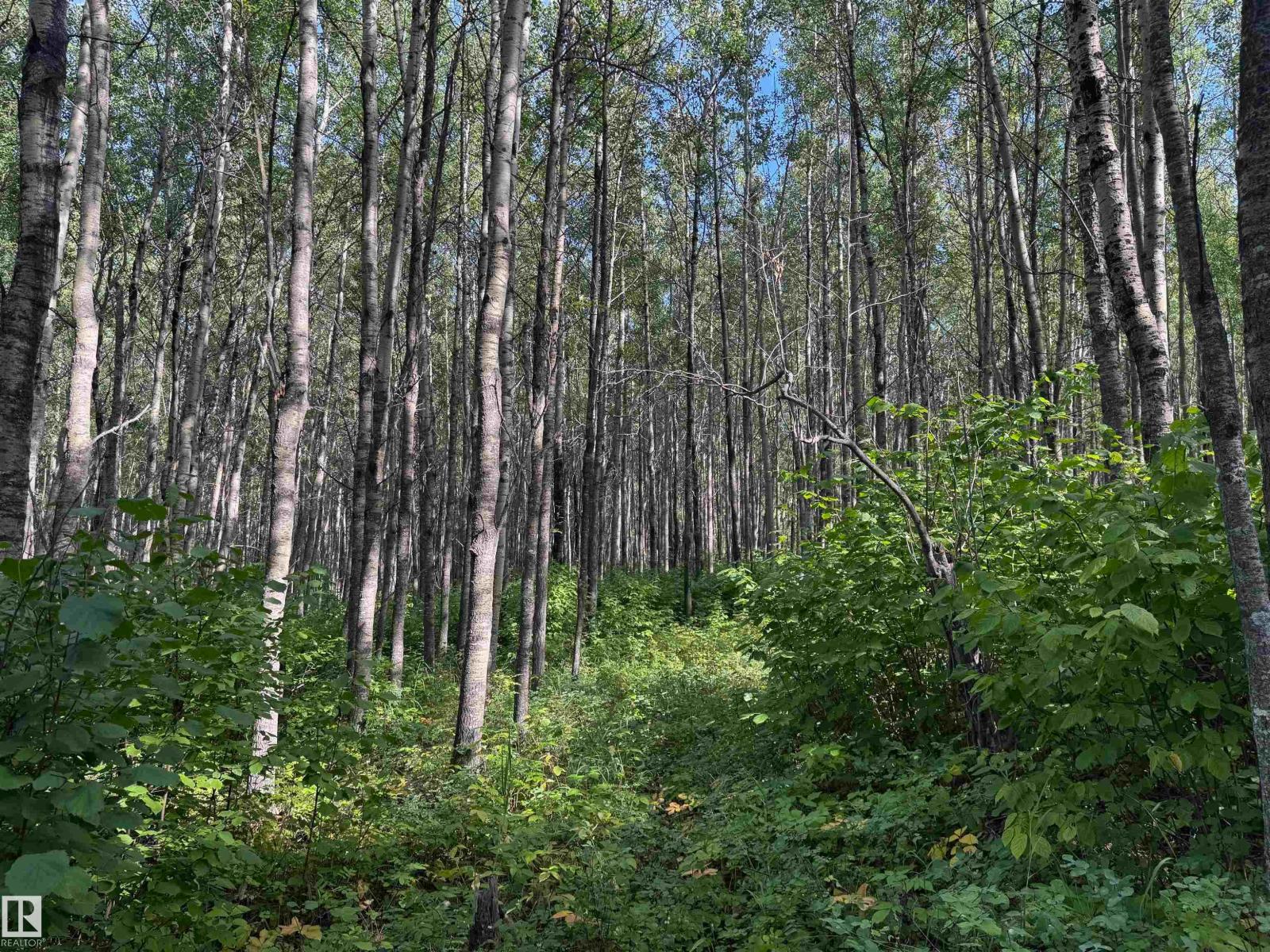 On Twp Rd 505, Rural Brazeau County, Alberta  T7A 2A2 - Photo 16 - E4459876