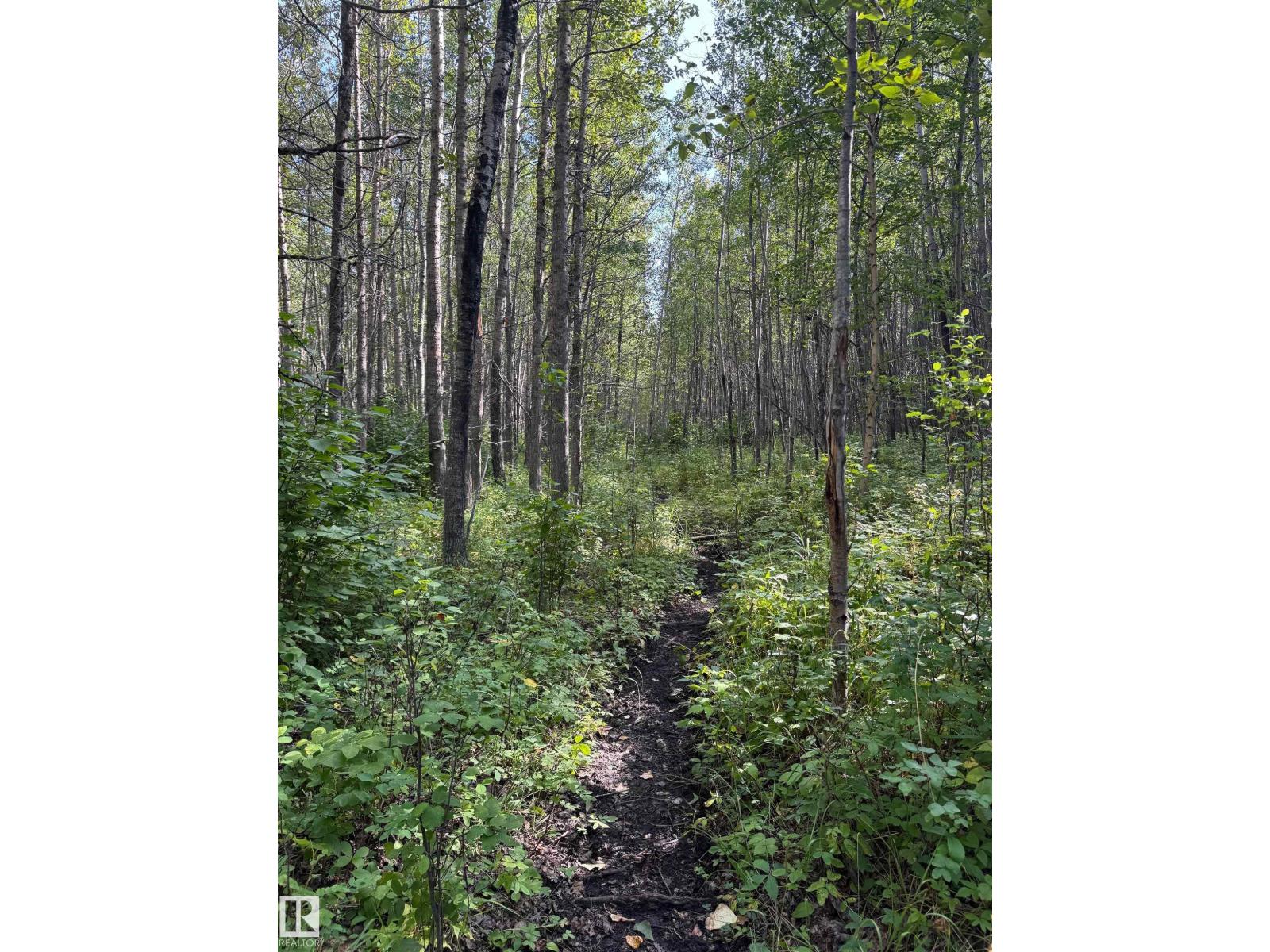 On Twp Rd 505, Rural Brazeau County, Alberta  T7A 2A2 - Photo 17 - E4459876
