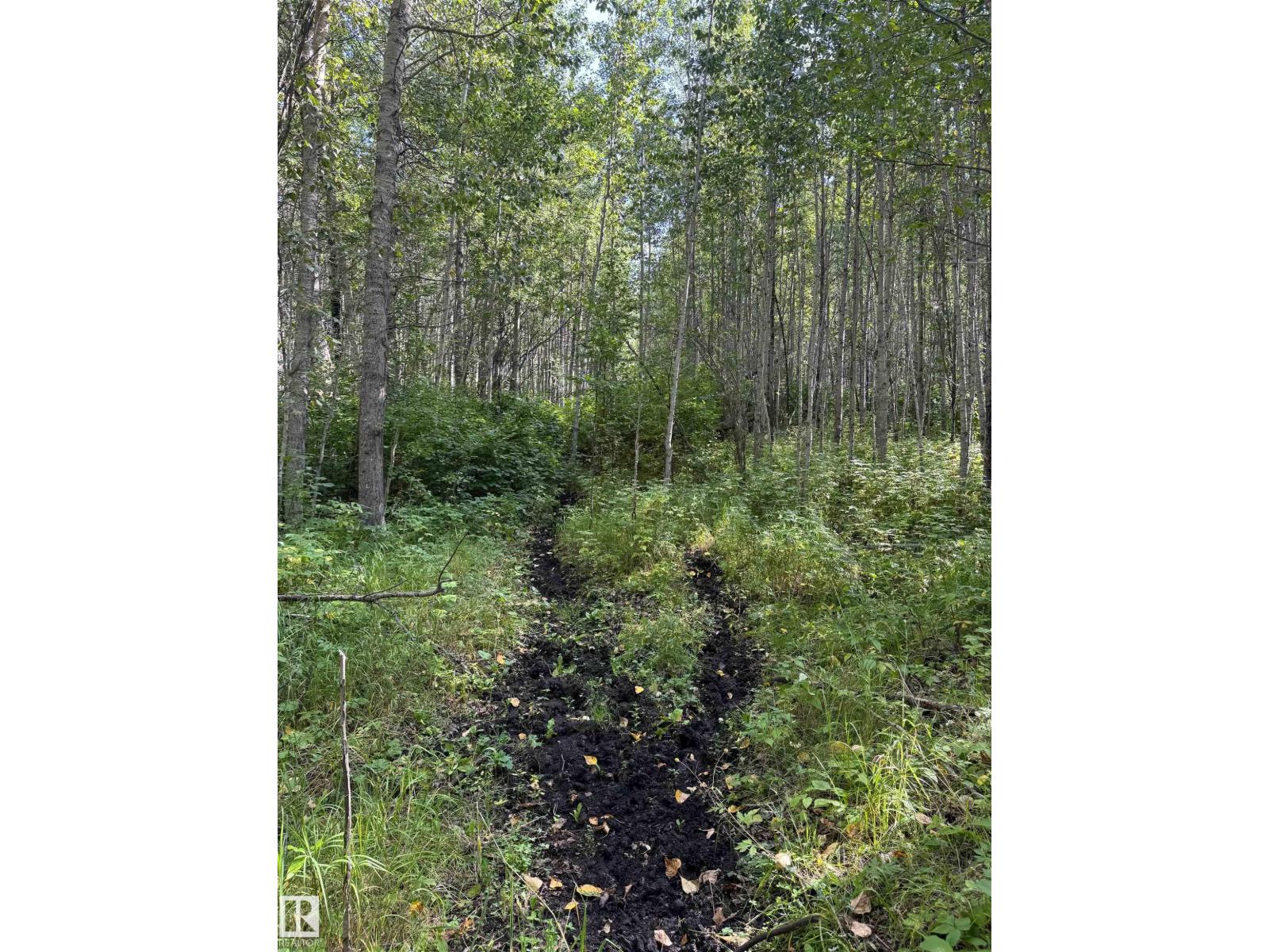 On Twp Rd 505, Rural Brazeau County, Alberta  T7A 2A2 - Photo 18 - E4459876