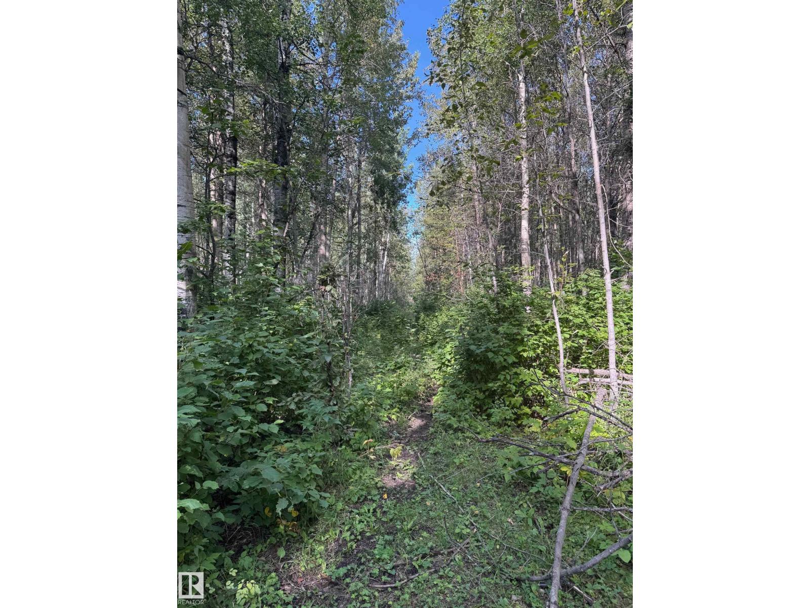 On Twp Rd 505, Rural Brazeau County, Alberta  T7A 2A2 - Photo 19 - E4459876