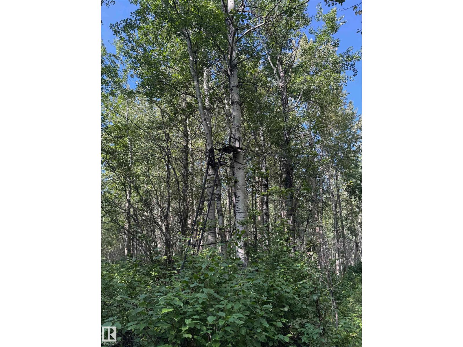 On Twp Rd 505, Rural Brazeau County, Alberta  T7A 2A2 - Photo 20 - E4459876