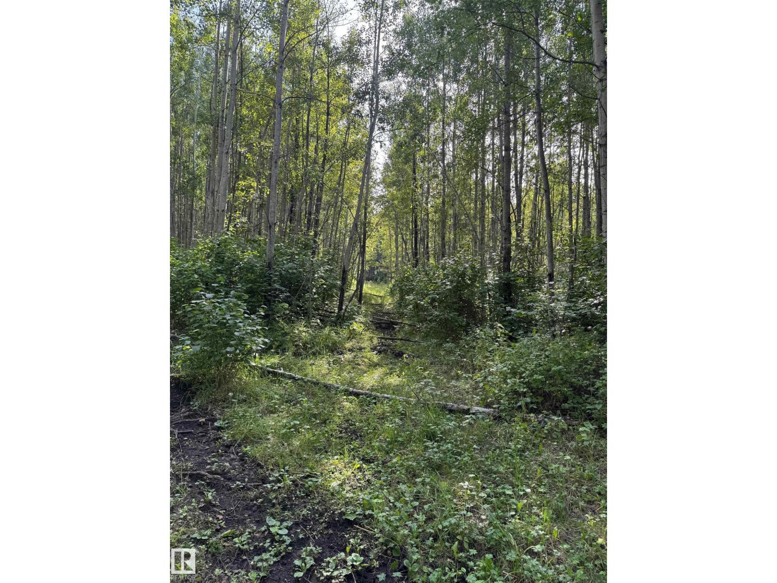 On Twp Rd 505, Rural Brazeau County, Alberta  T7A 2A2 - Photo 21 - E4459876
