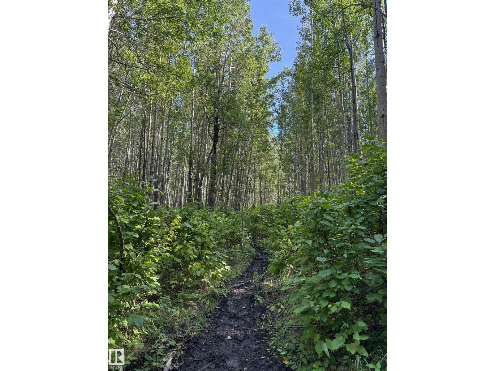 On Twp Rd 505, Rural Brazeau County, Alberta  T7A 2A2 - Photo 22 - E4459876