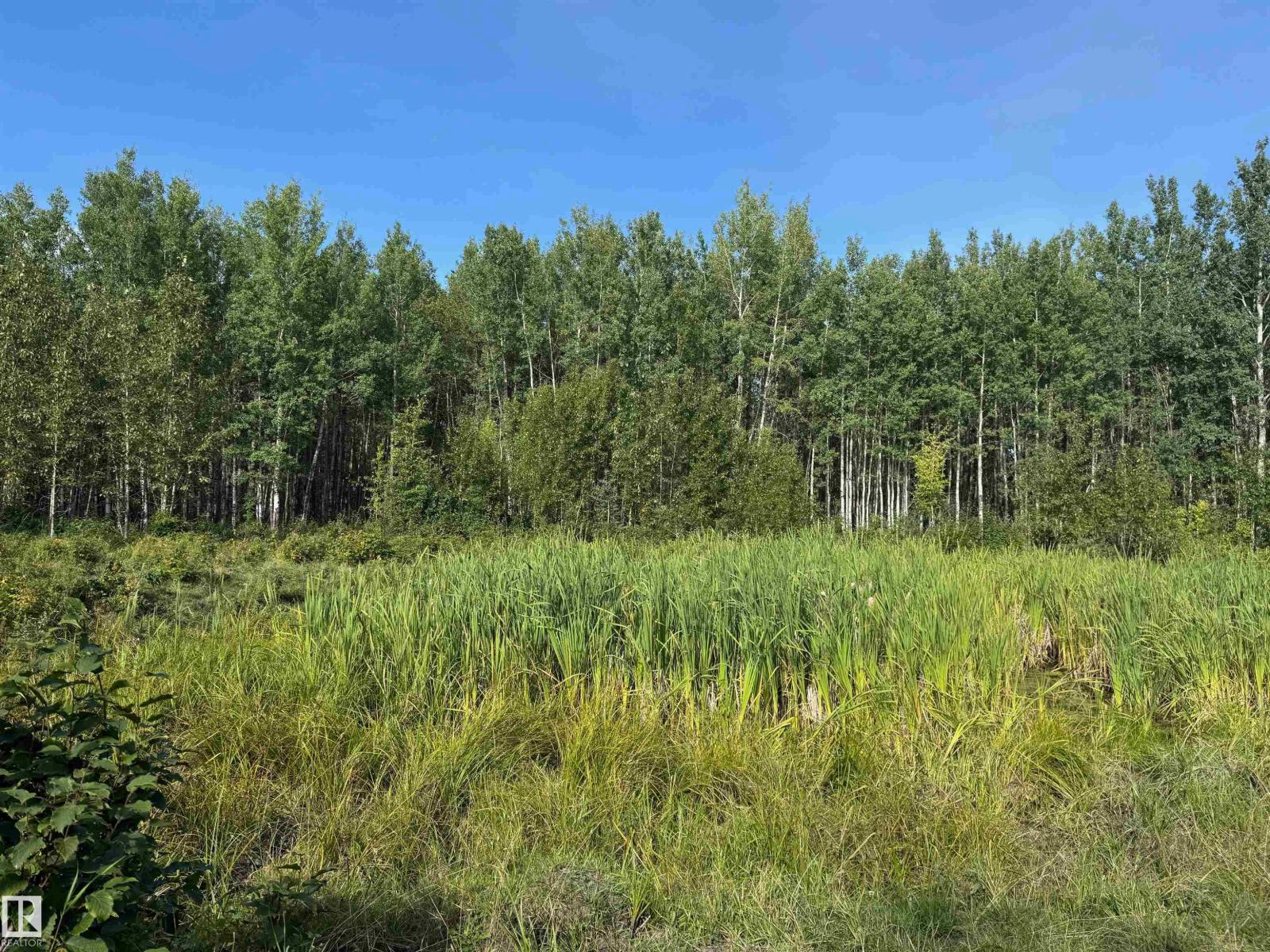 On Twp Rd 505, Rural Brazeau County, Alberta  T7A 2A2 - Photo 25 - E4459876