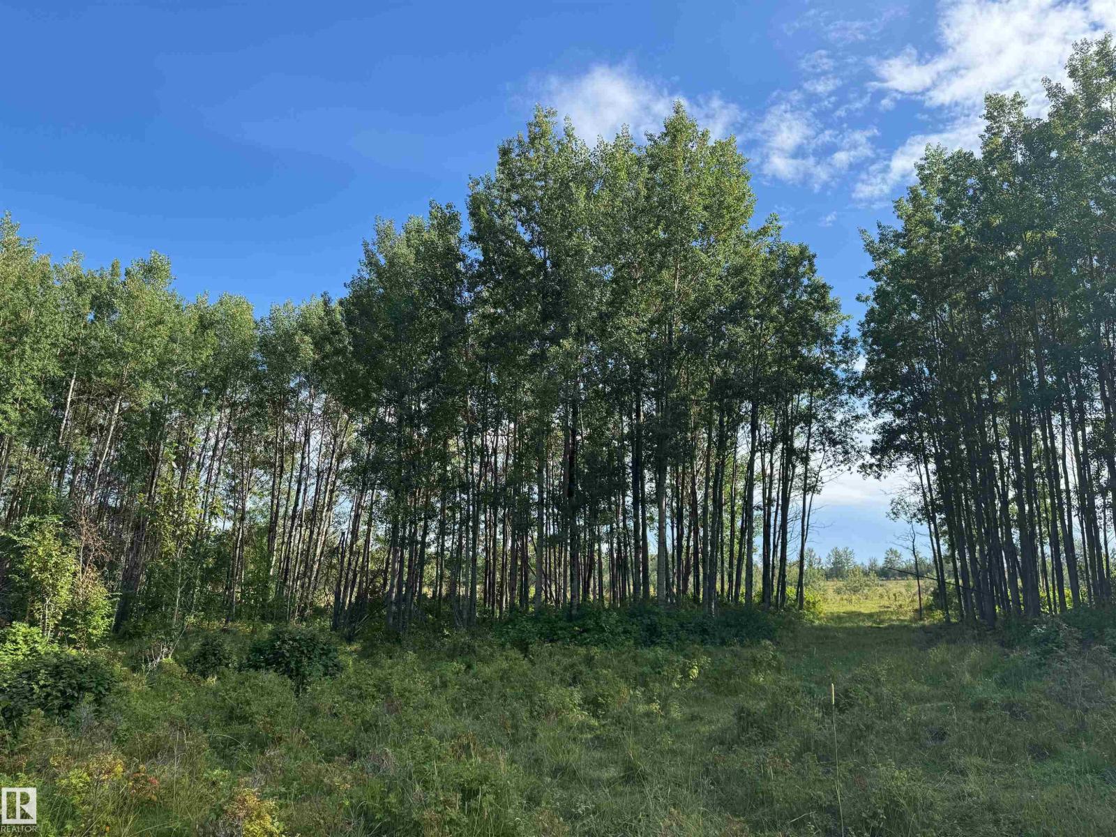 On Twp Rd 505, Rural Brazeau County, Alberta  T7A 2A2 - Photo 26 - E4459876