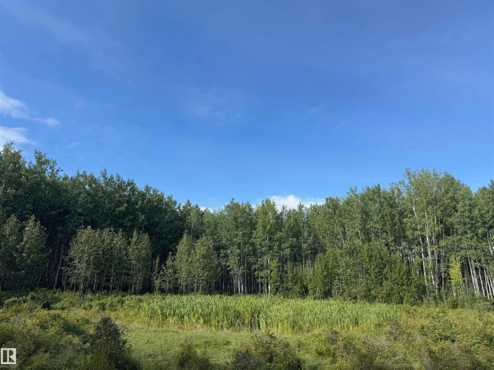 On Twp Rd 505, Rural Brazeau County, Alberta  T7A 2A2 - Photo 27 - E4459876