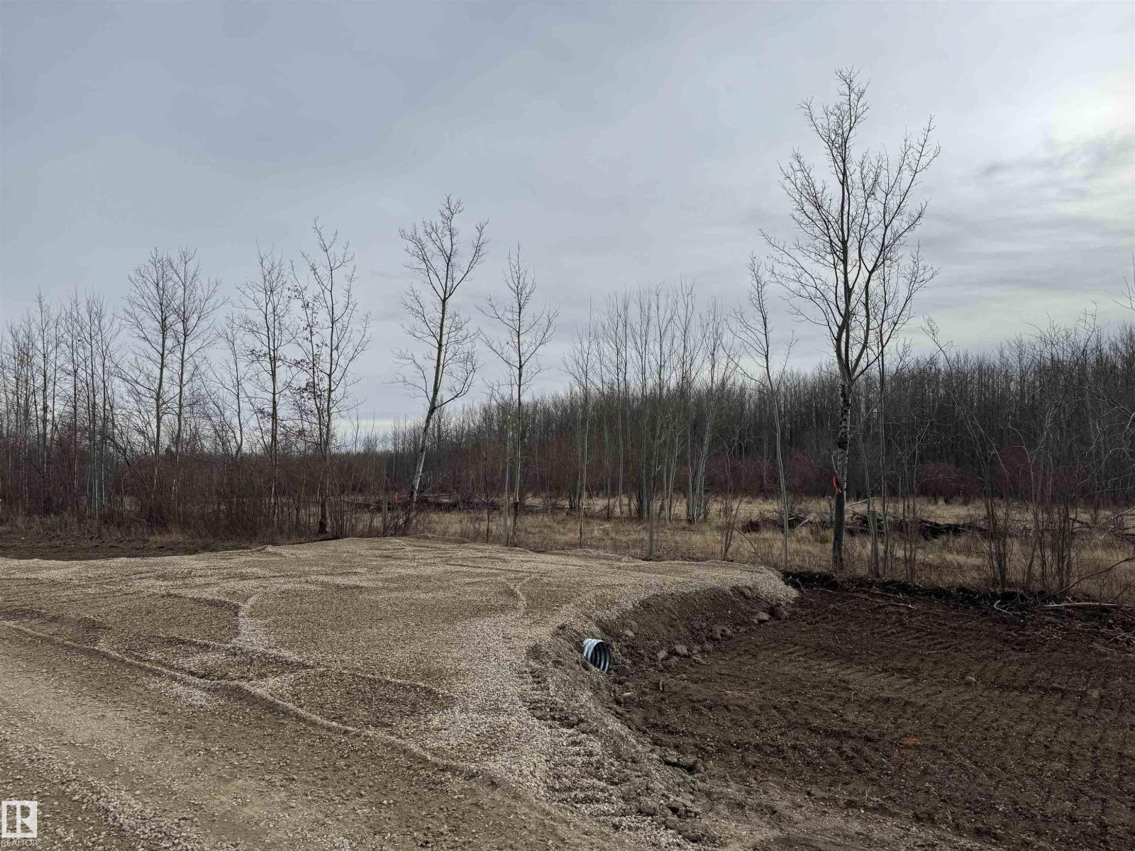 On Twp Rd 505, Rural Brazeau County, Alberta T7A 1S4 - Photo 32 - E4459876