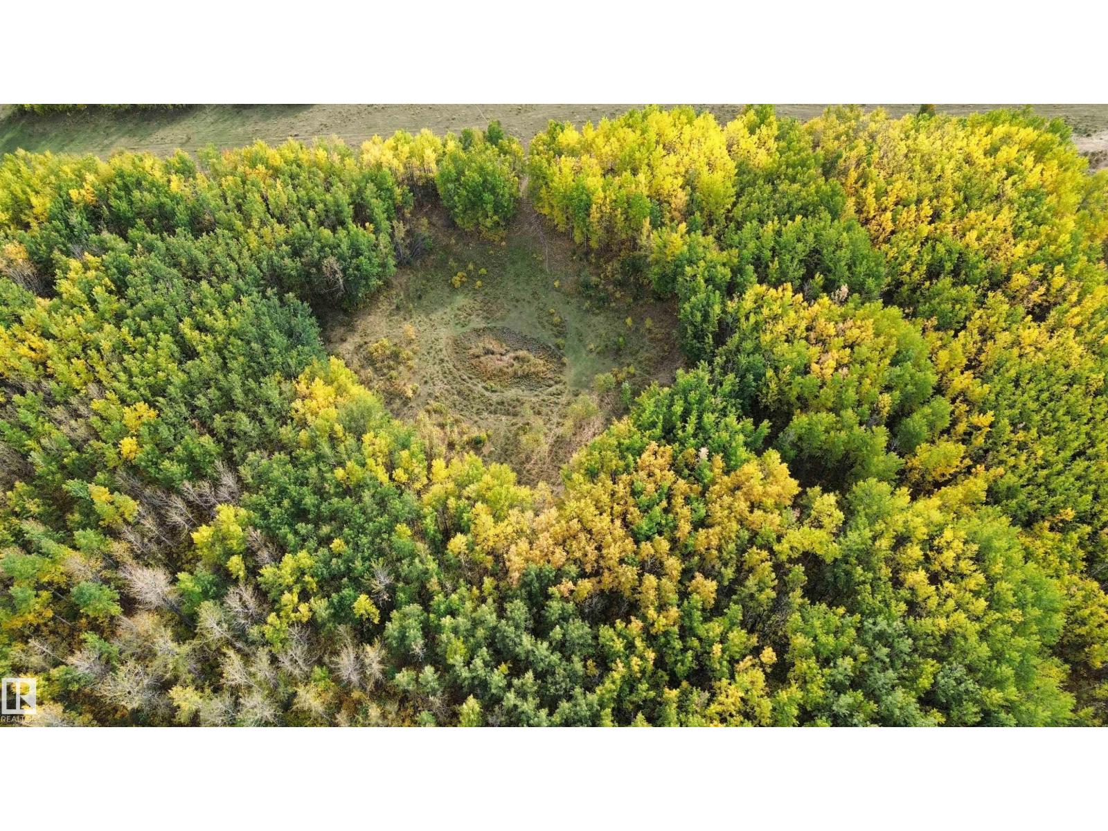 On Twp Rd 505, Rural Brazeau County, Alberta  T7A 2A2 - Photo 6 - E4459876