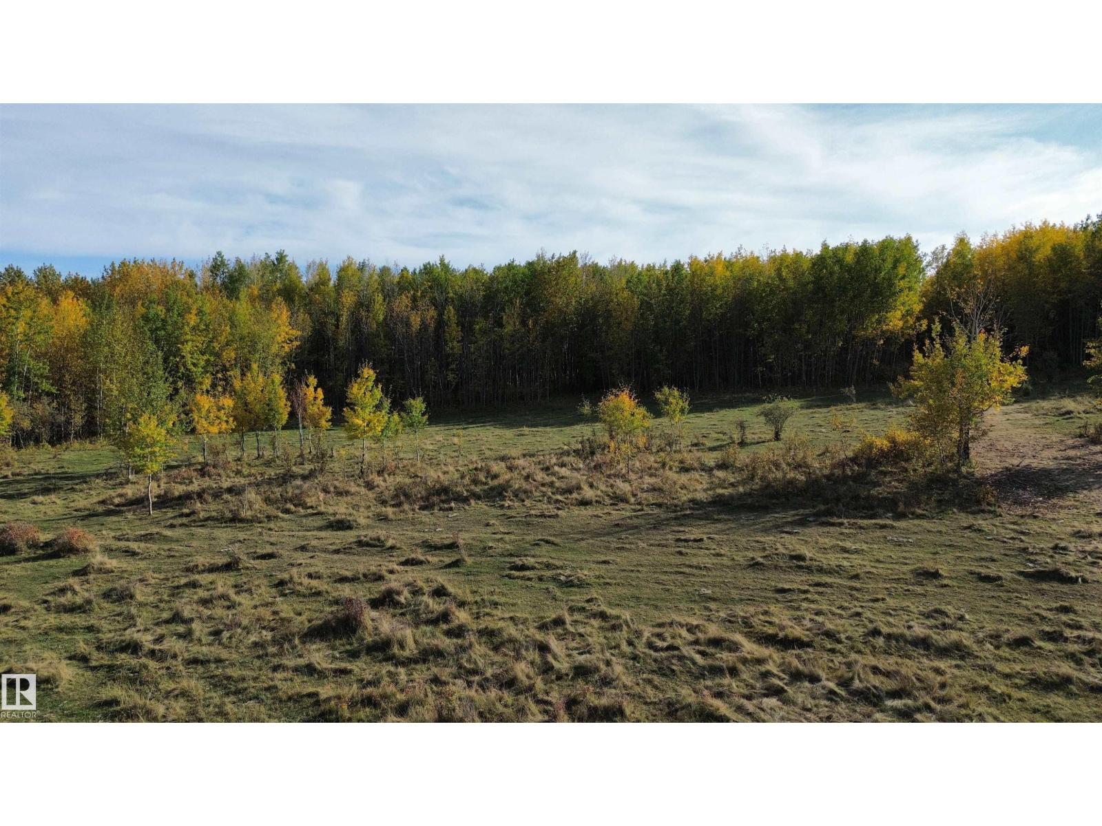 On Twp Rd 505, Rural Brazeau County, Alberta  T7A 2A2 - Photo 9 - E4459876