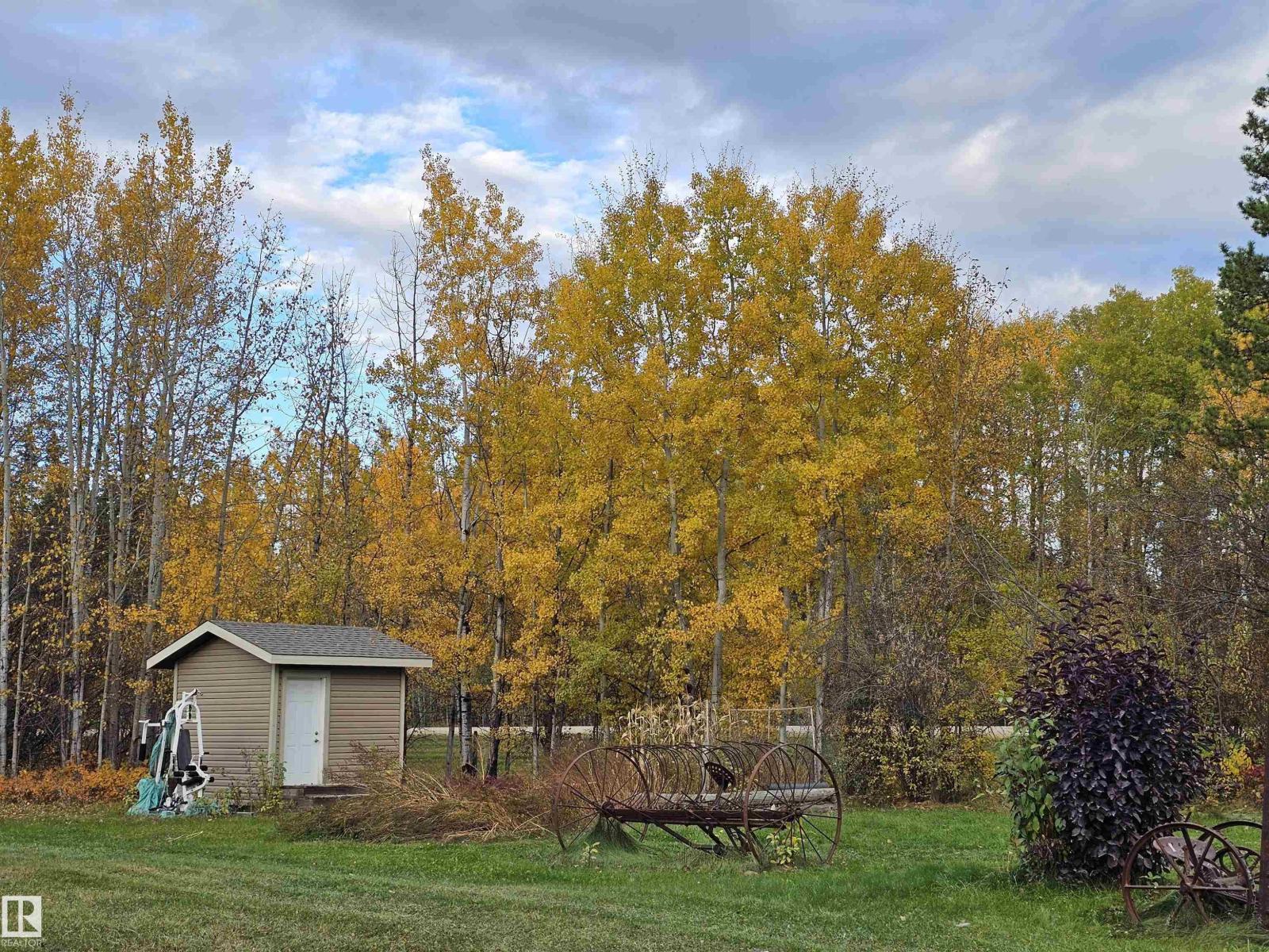 49510 Rge Road 80, Rural Brazeau County, Alberta  T7A 2A3 - Photo 49 - E4460586