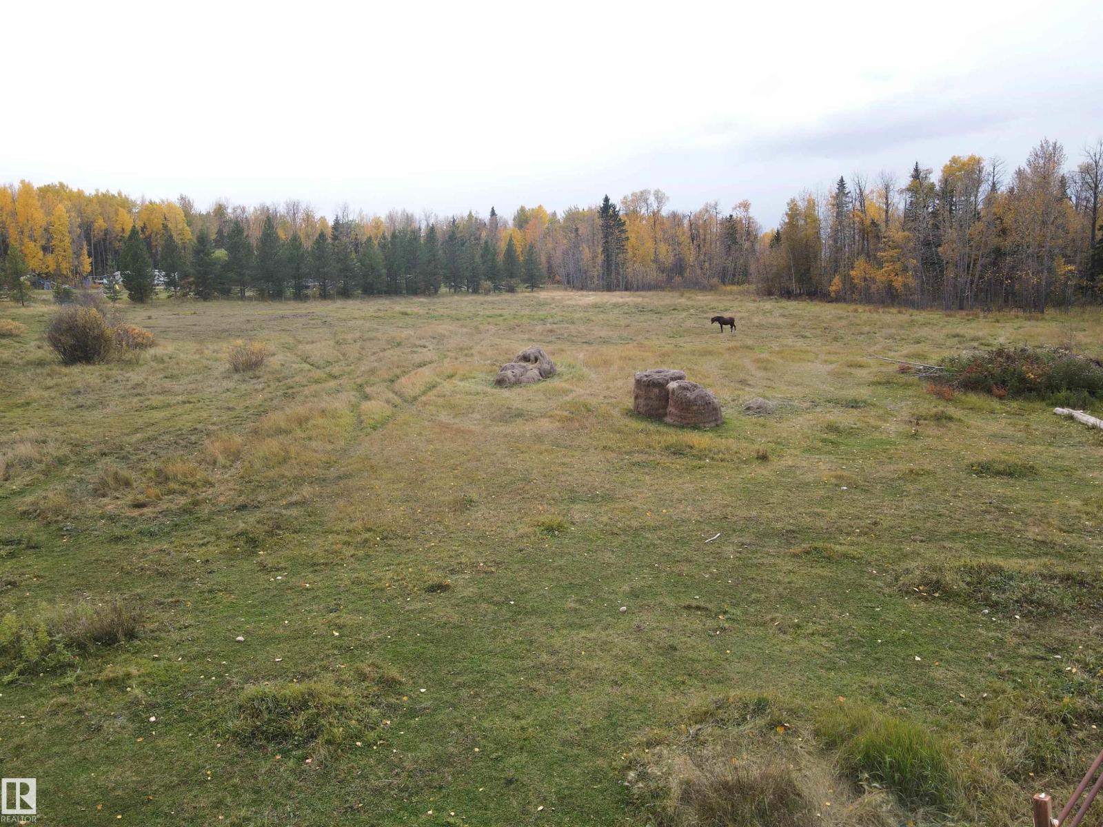 49510 Rge Road 80, Rural Brazeau County, Alberta  T7A 2A3 - Photo 72 - E4460586