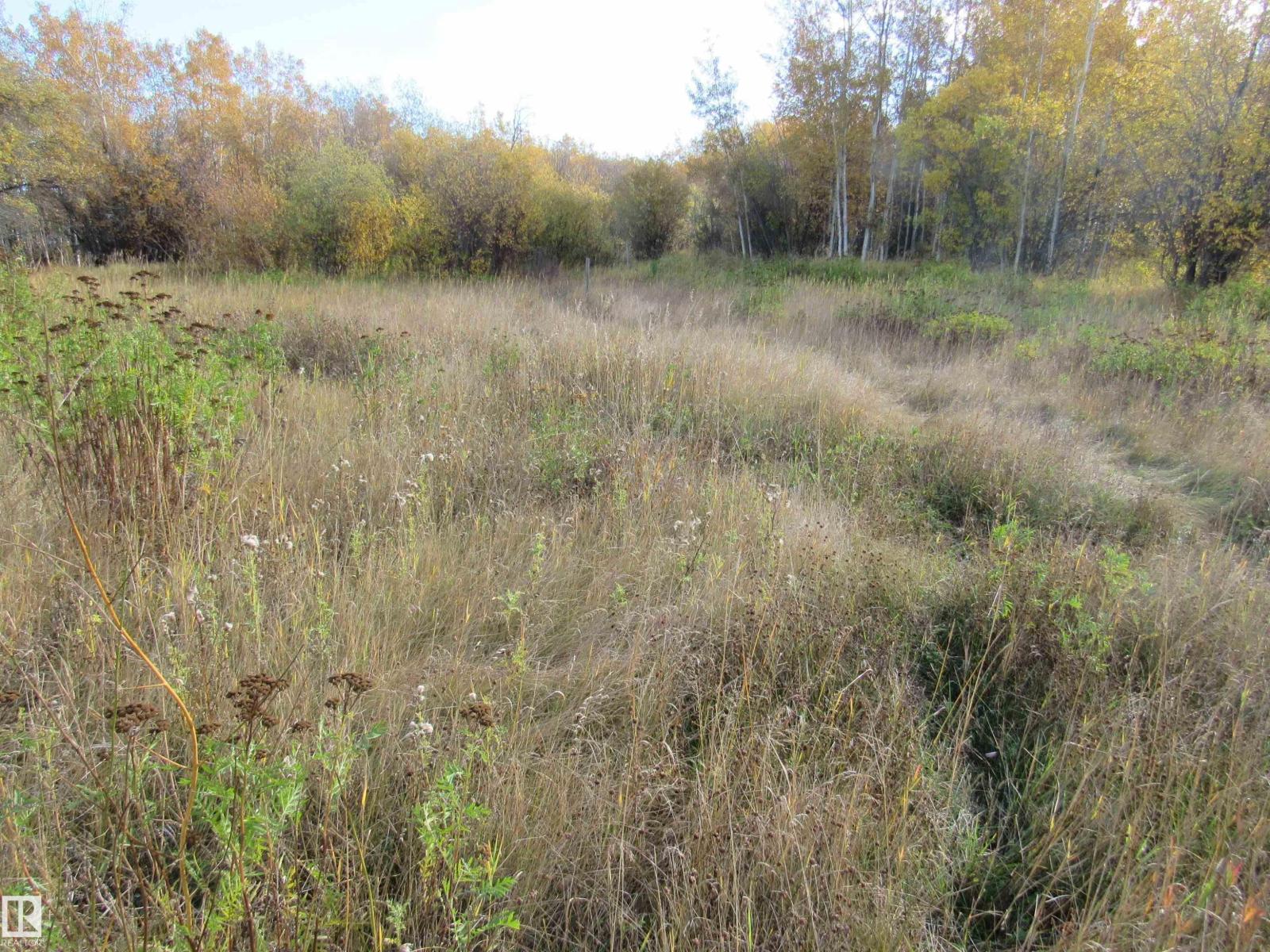 107 - 2529 Hwy 651, Rural Barrhead County, Alberta  T0E 1A0 - Photo 4 - E4460745