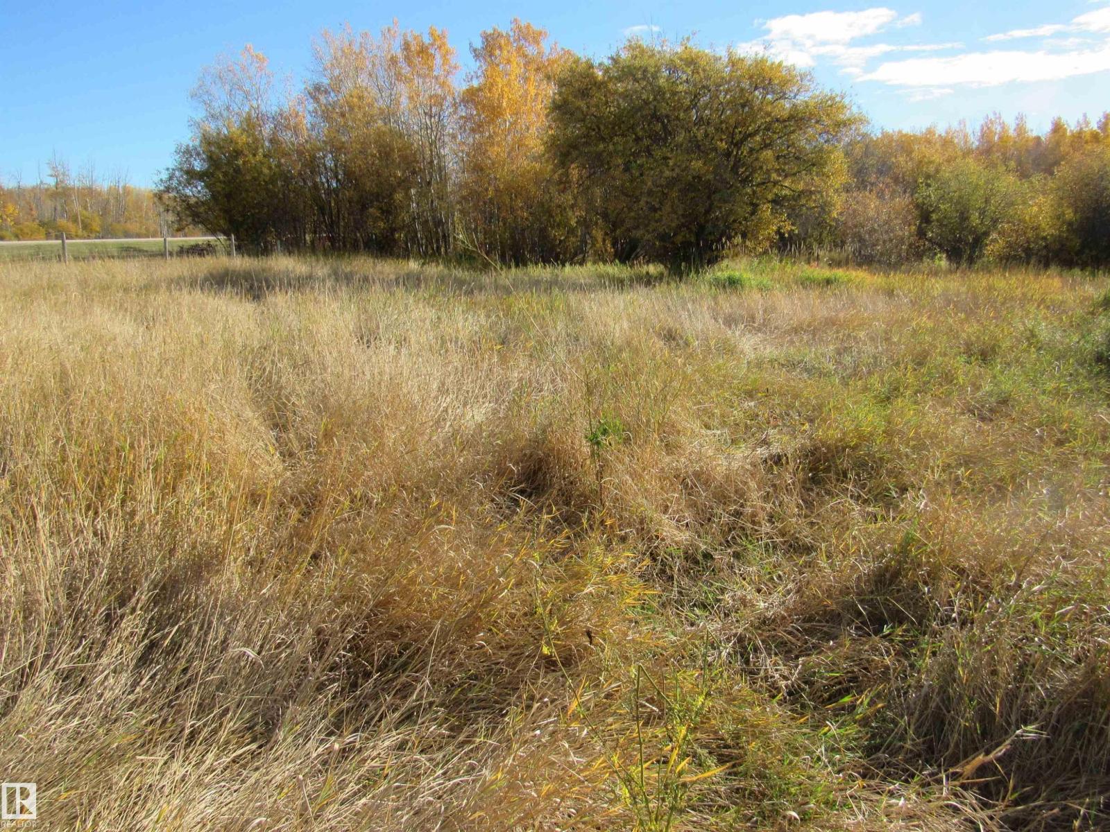107 - 2529 Hwy 651, Rural Barrhead County, Alberta  T0E 1A0 - Photo 5 - E4460745