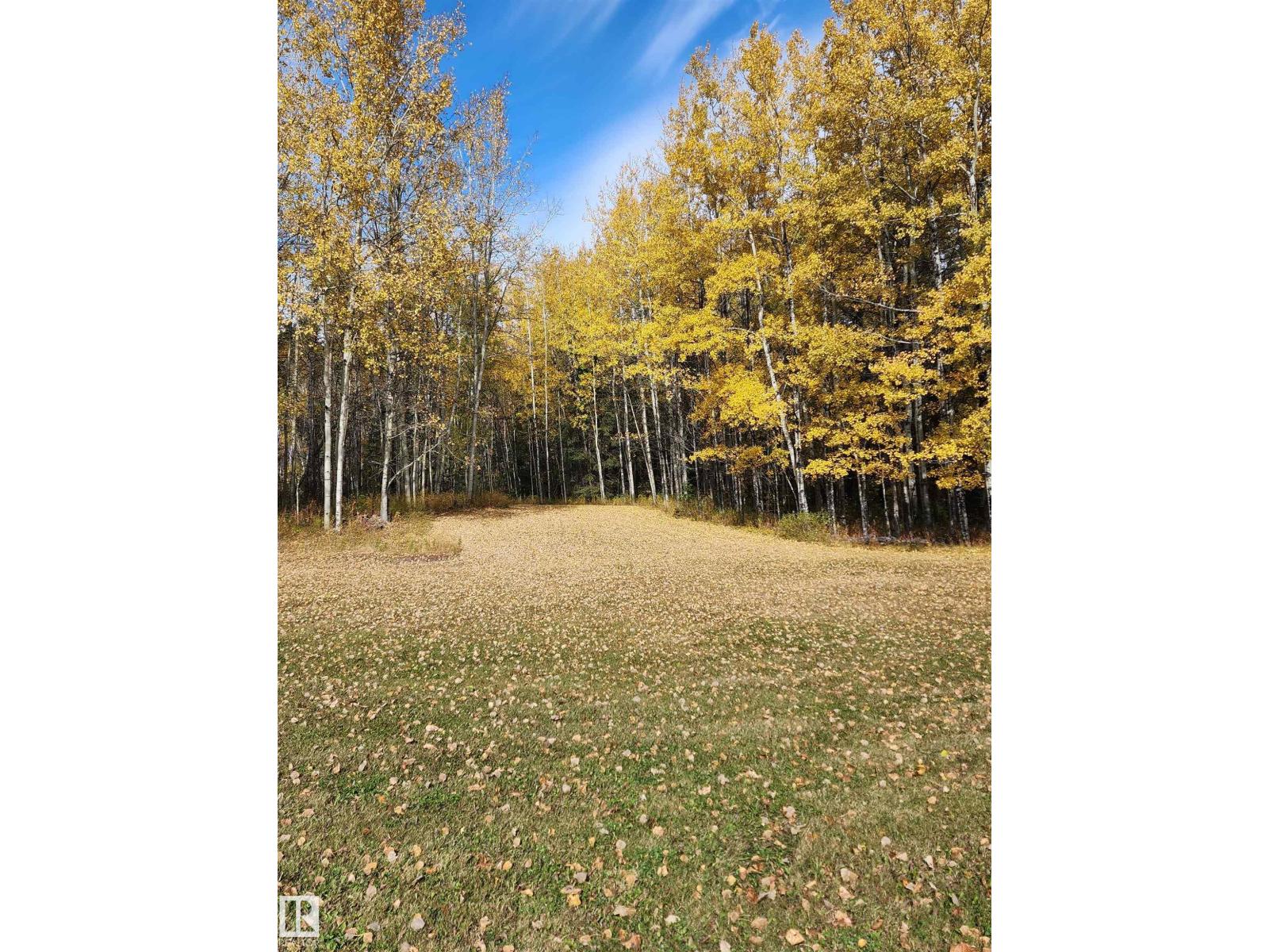 #14 53510 Hwy 43, Rural Lac Ste. Anne County, Alberta T0E 1V0 - Photo 31 - E4460983