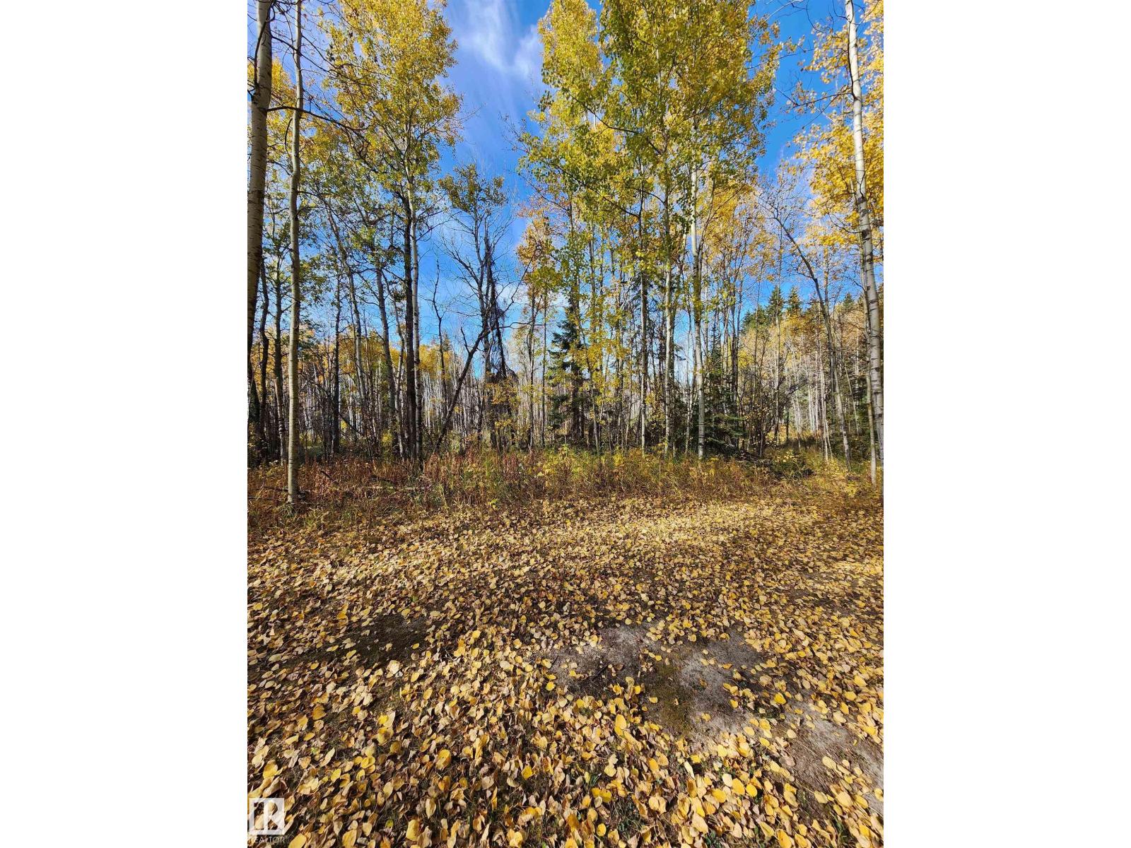 #14 53510 Hwy 43, Rural Lac Ste. Anne County, Alberta T0E 1V0 - Photo 32 - E4460983