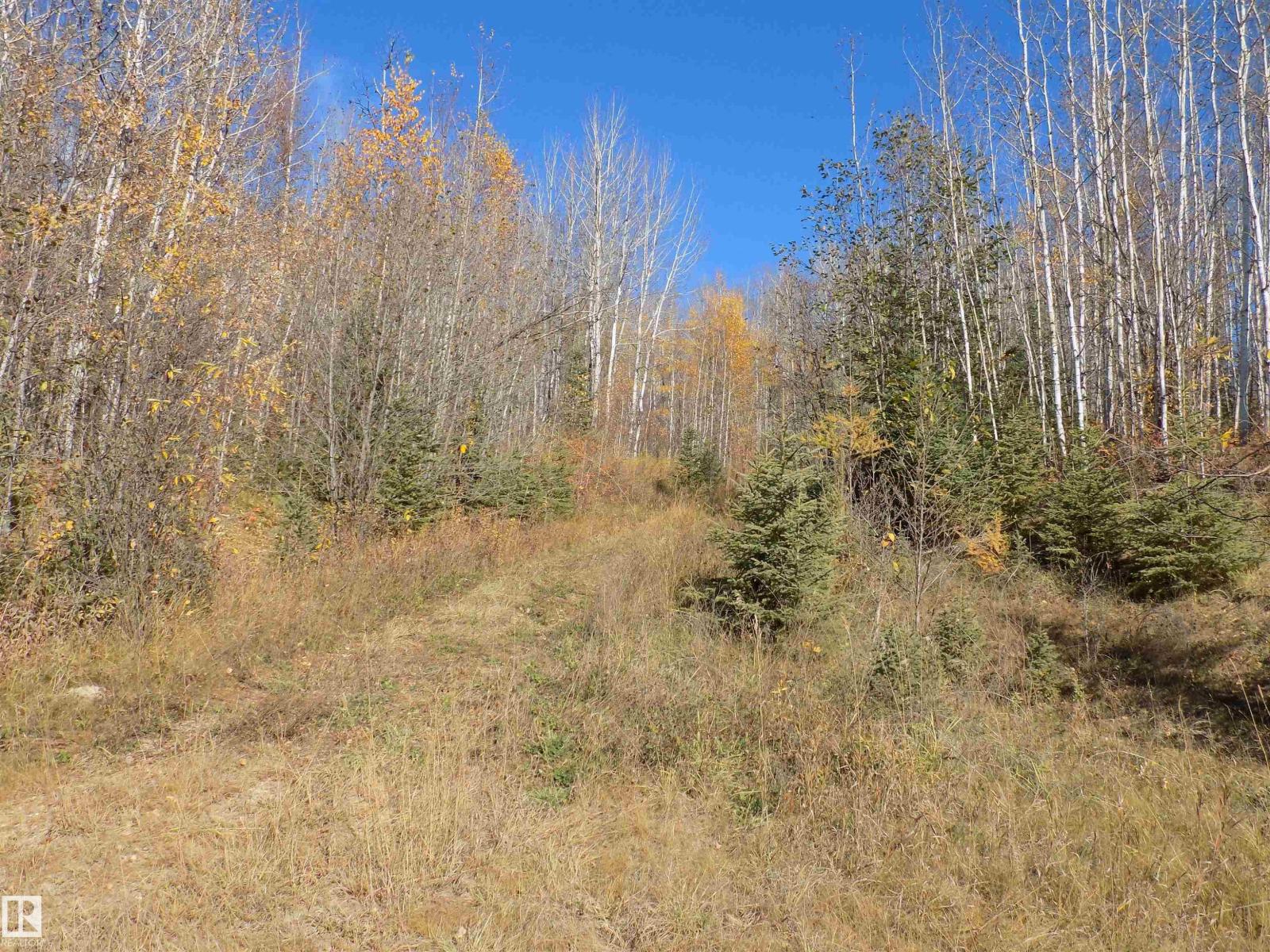 Twp 463a Rd, Rural Wetaskiwin County, Alberta  T0C 2V0 - Photo 1 - E4461618