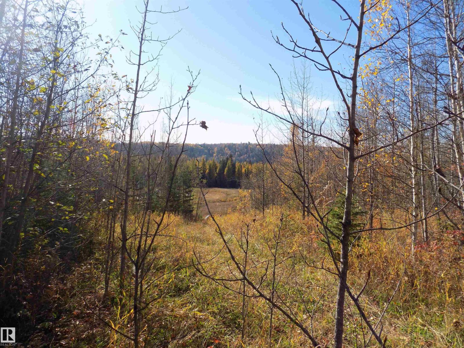 Twp 463a Rd, Rural Wetaskiwin County, Alberta  T0C 2V0 - Photo 10 - E4461618