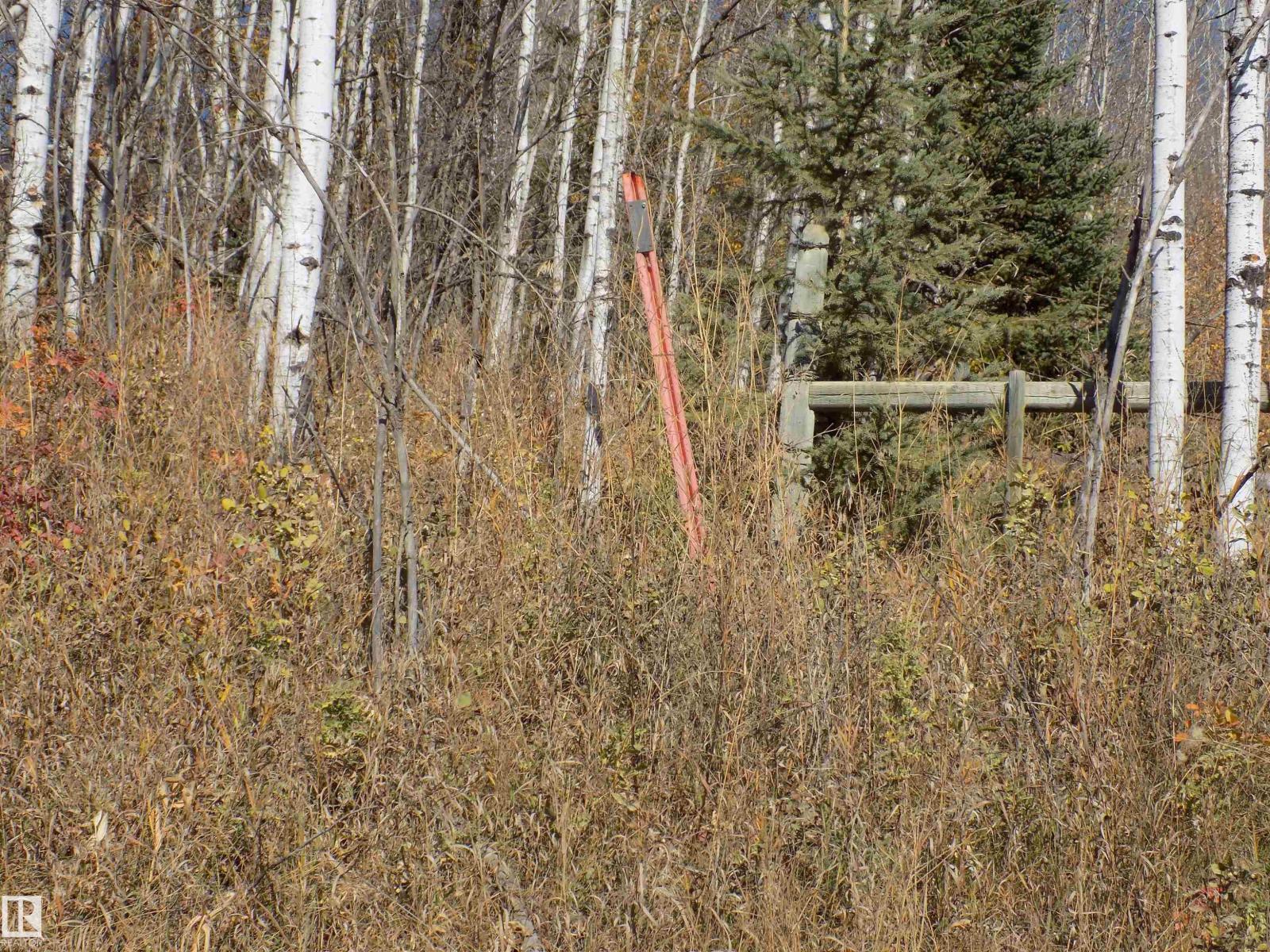 Twp 463a Rd, Rural Wetaskiwin County, Alberta  T0C 2V0 - Photo 11 - E4461618