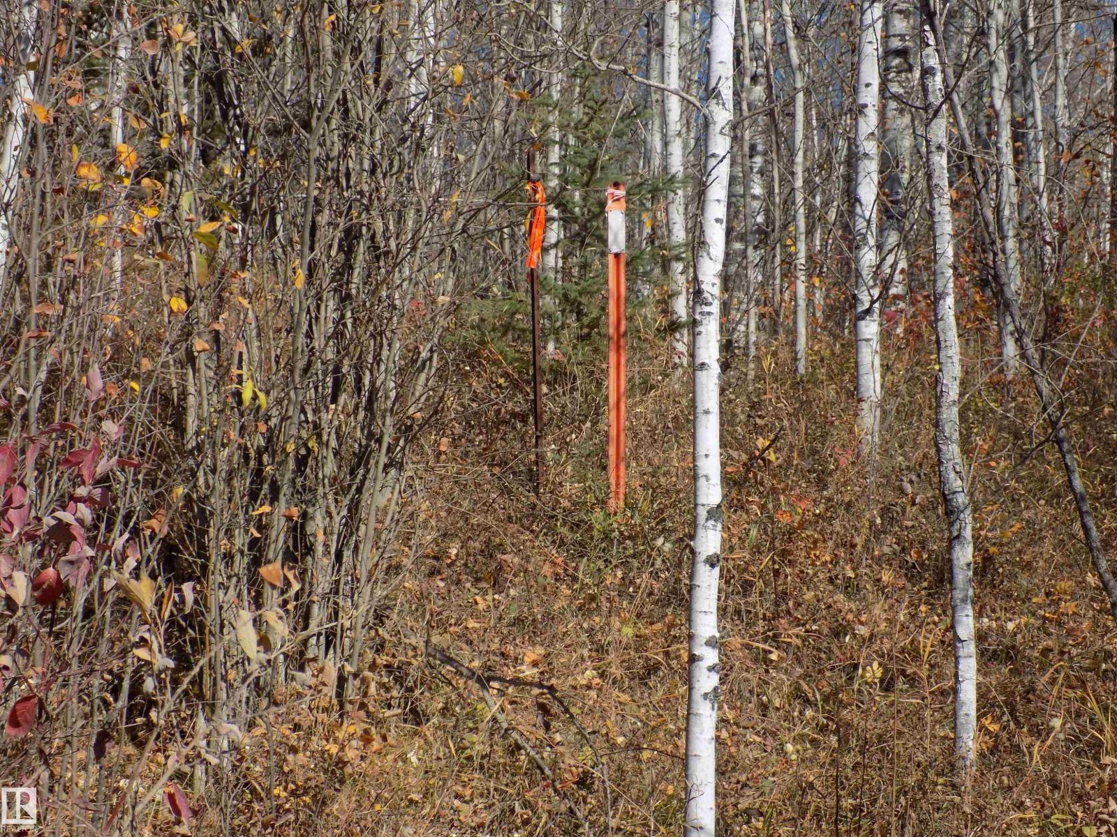 Twp 463a Rd, Rural Wetaskiwin County, Alberta  T0C 2V0 - Photo 12 - E4461618