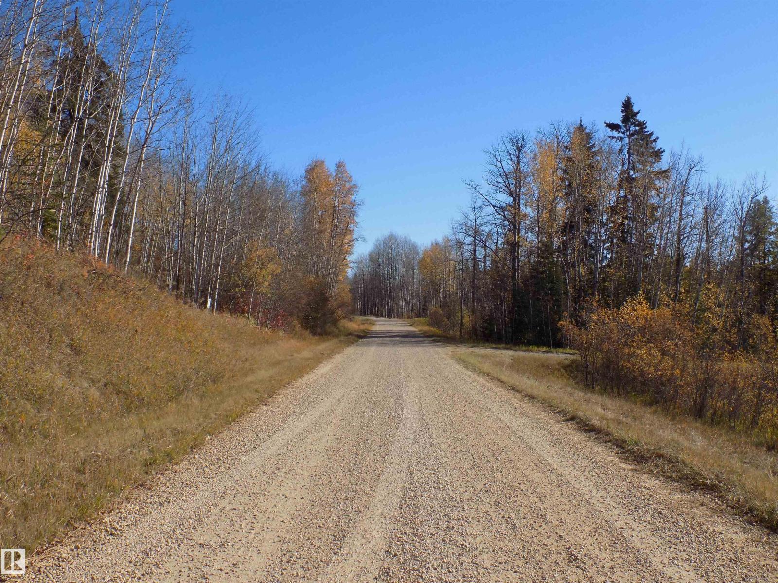 Twp 463a Rd, Rural Wetaskiwin County, Alberta  T0C 2V0 - Photo 13 - E4461618