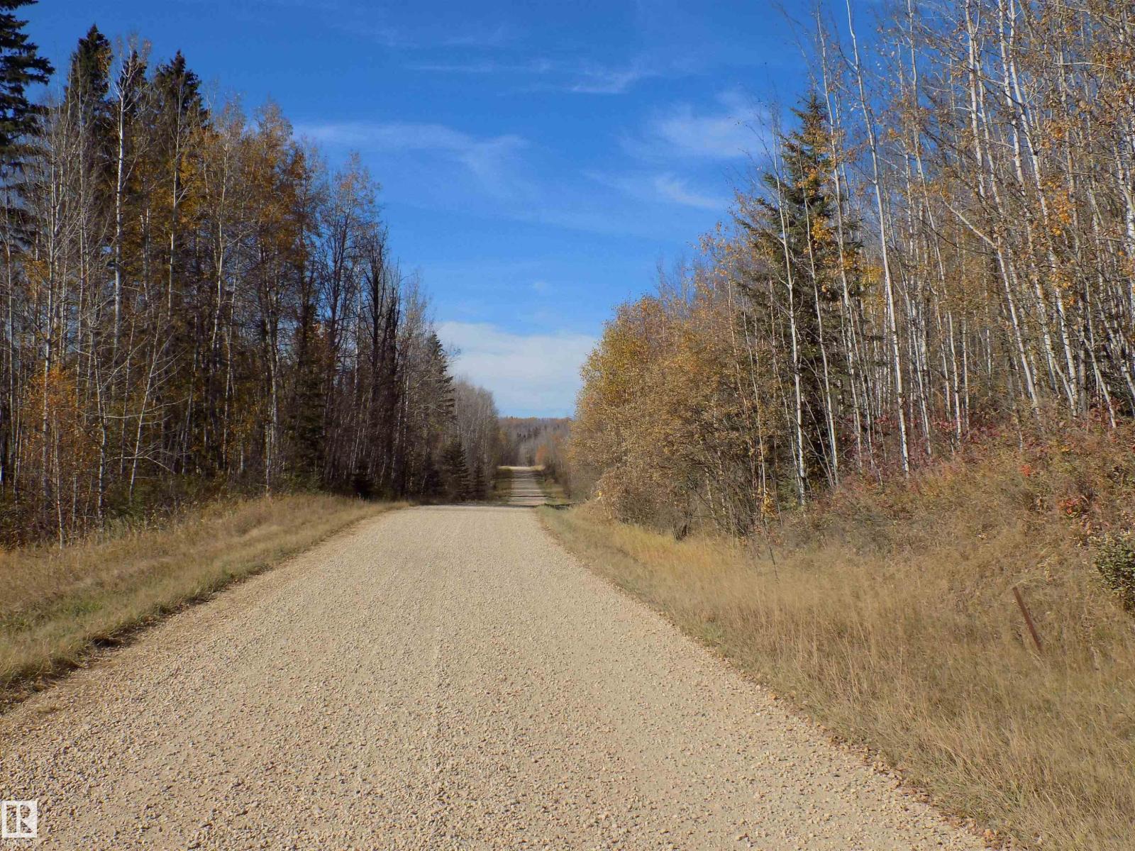 Twp 463a Rd, Rural Wetaskiwin County, Alberta  T0C 2V0 - Photo 14 - E4461618