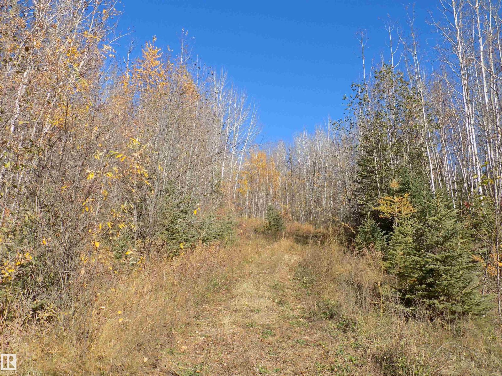 Twp 463a Rd, Rural Wetaskiwin County, Alberta  T0C 2V0 - Photo 2 - E4461618