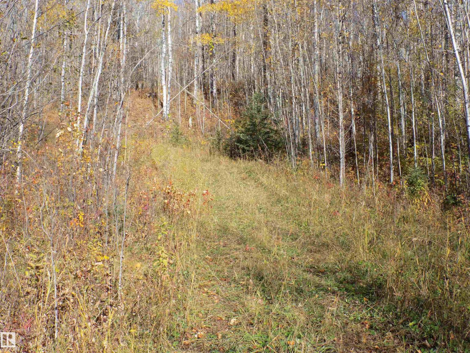 Twp 463a Rd, Rural Wetaskiwin County, Alberta  T0C 2V0 - Photo 4 - E4461618