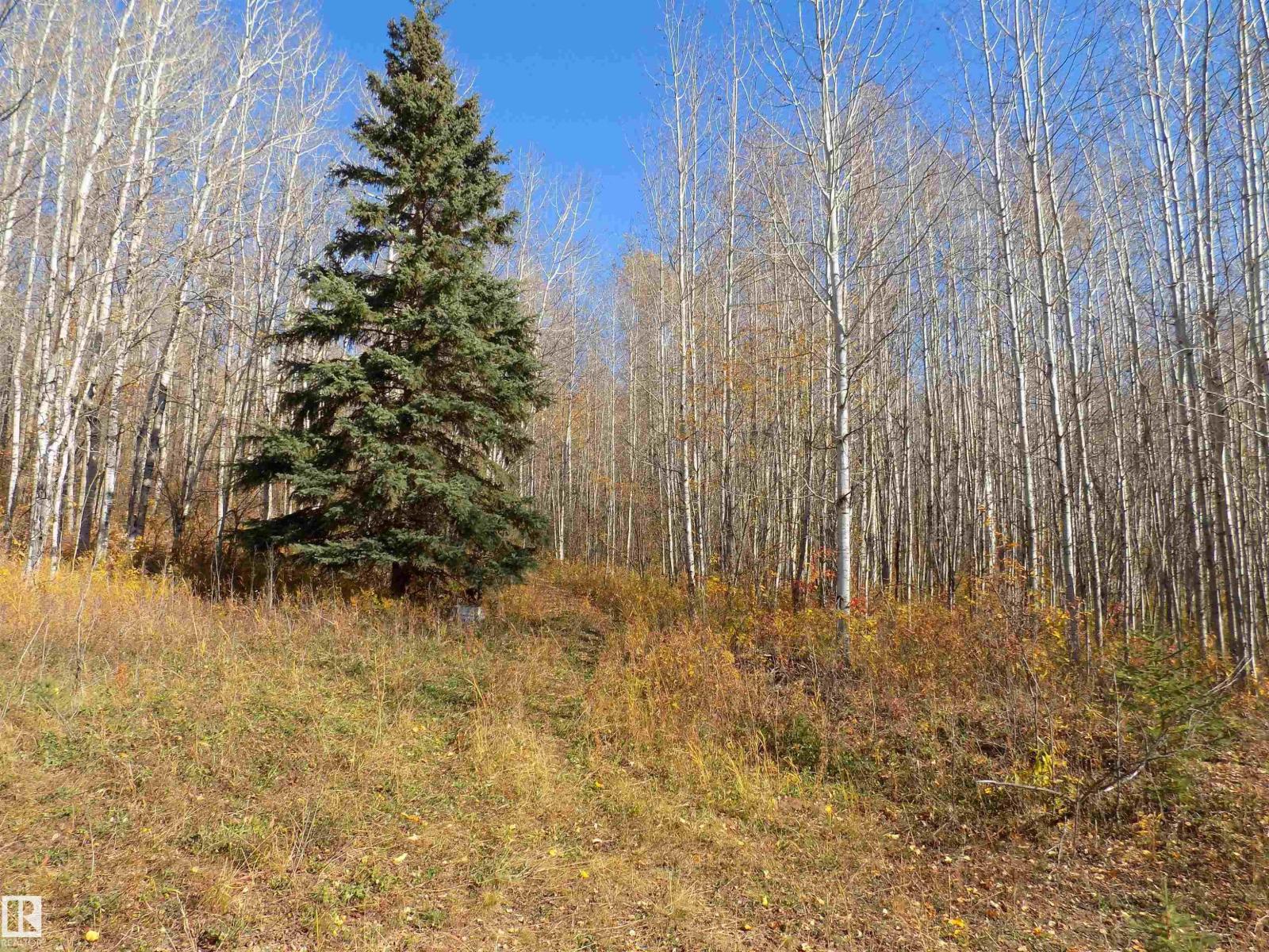 Twp 463a Rd, Rural Wetaskiwin County, Alberta  T0C 2V0 - Photo 5 - E4461618