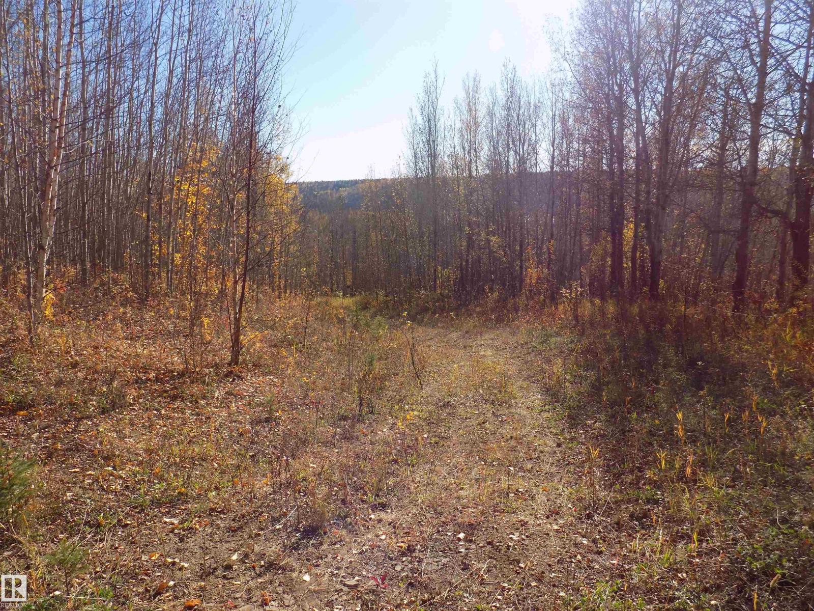 Twp 463a Rd, Rural Wetaskiwin County, Alberta  T0C 2V0 - Photo 8 - E4461618