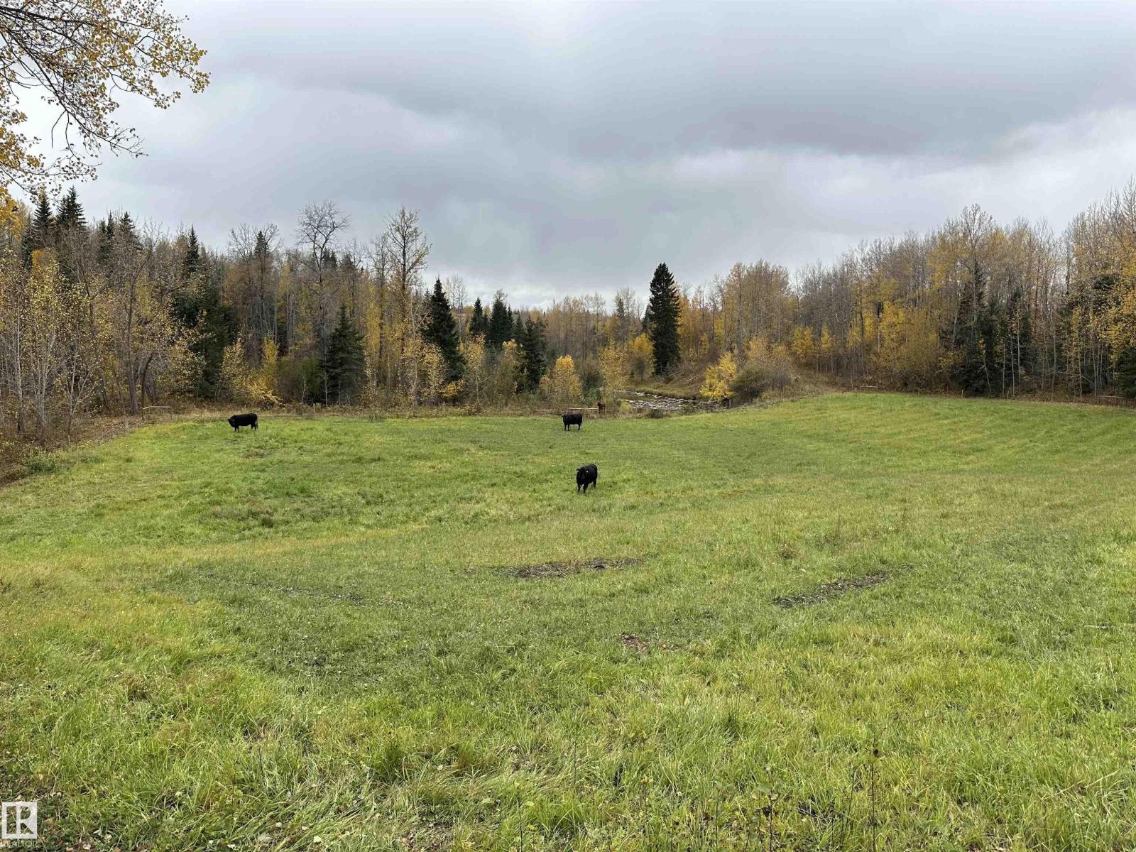 Nw 18-49-5 W5m, Rural Brazeau County, Alberta  T0C 1W0 - Photo 2 - E4461982