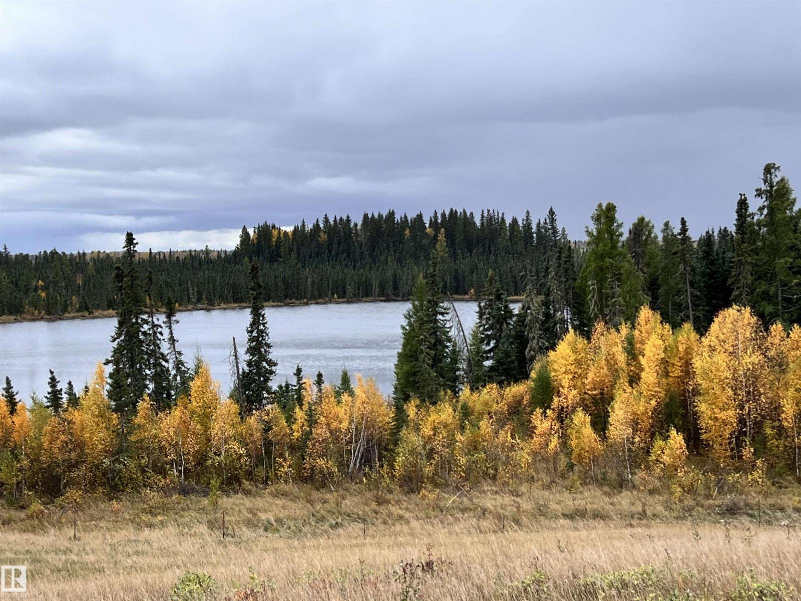 Nw 18-49-5 W5m, Rural Brazeau County, Alberta  T0C 1W0 - Photo 9 - E4461982