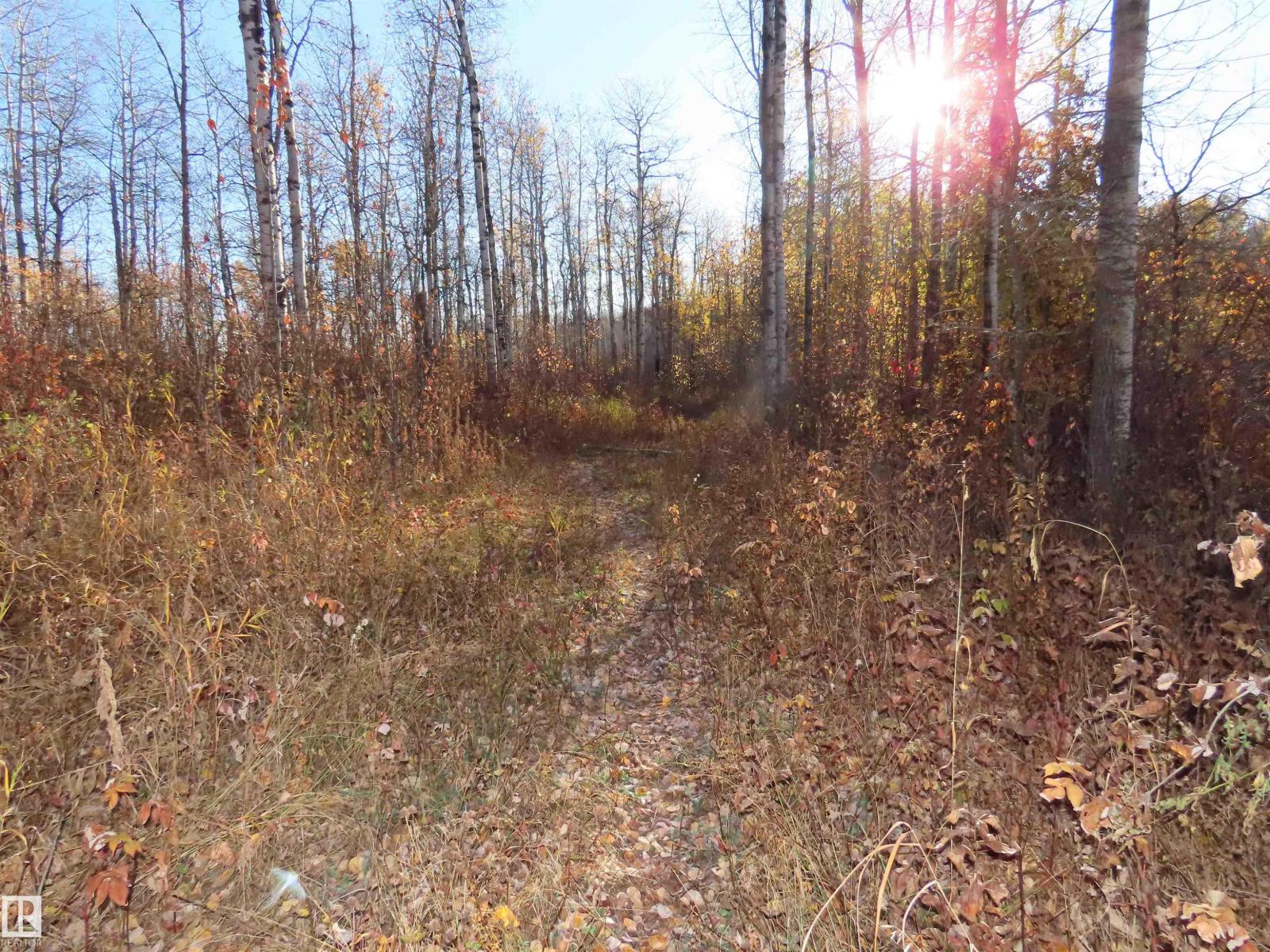 54425 Ste Anne Trail, Rural Lac Ste. Anne County, Alberta T0E 1V0 - Photo 10 - E4462131