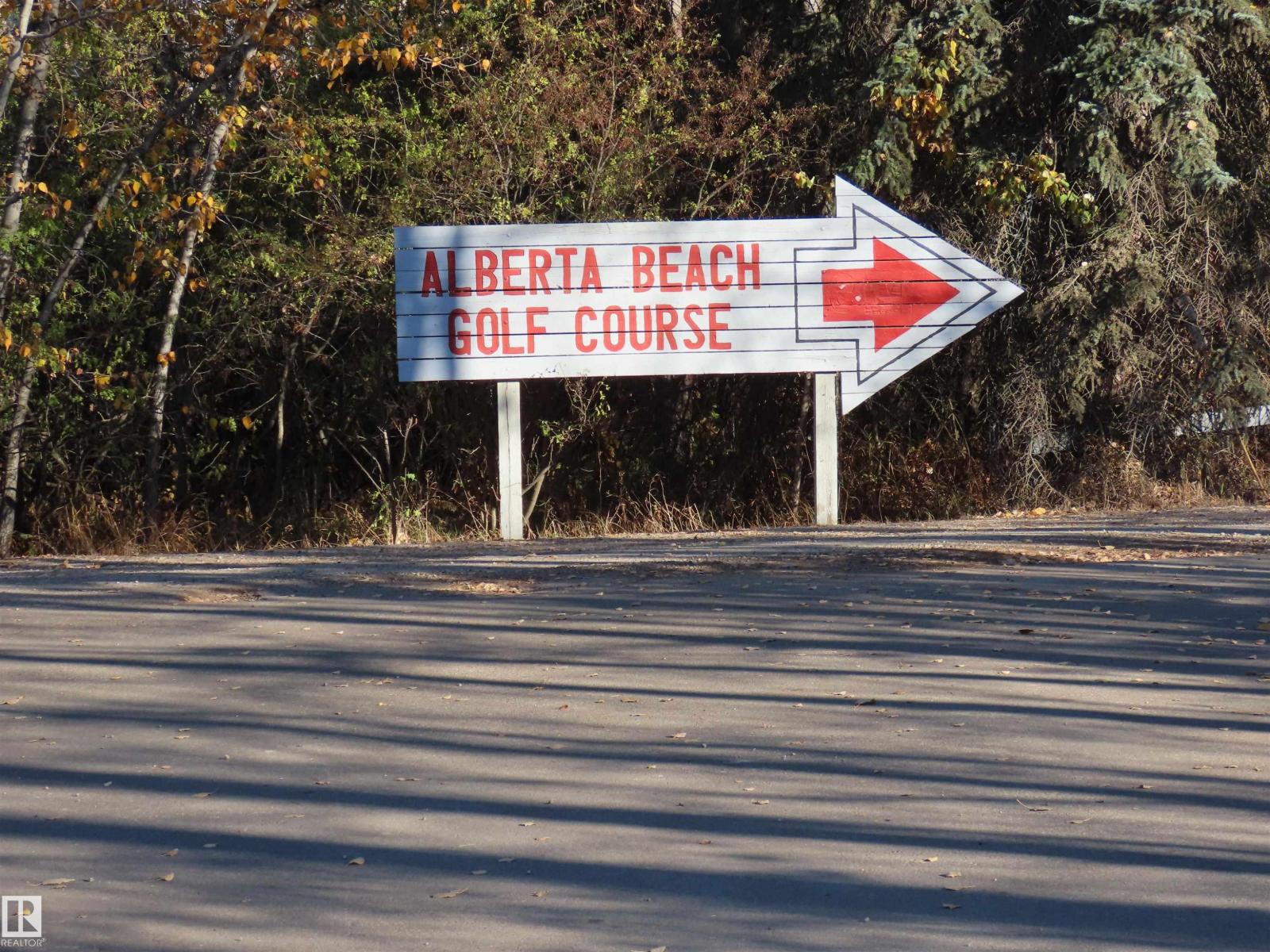 54425 Ste Anne Trail, Rural Lac Ste. Anne County, Alberta T0E 1V0 - Photo 11 - E4462131