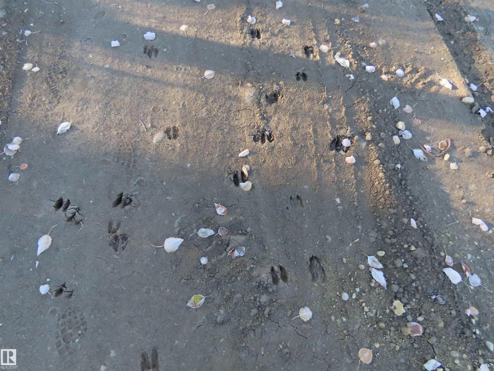 54425 Ste Anne Trail, Rural Lac Ste. Anne County, Alberta T0E 1V0 - Photo 12 - E4462131