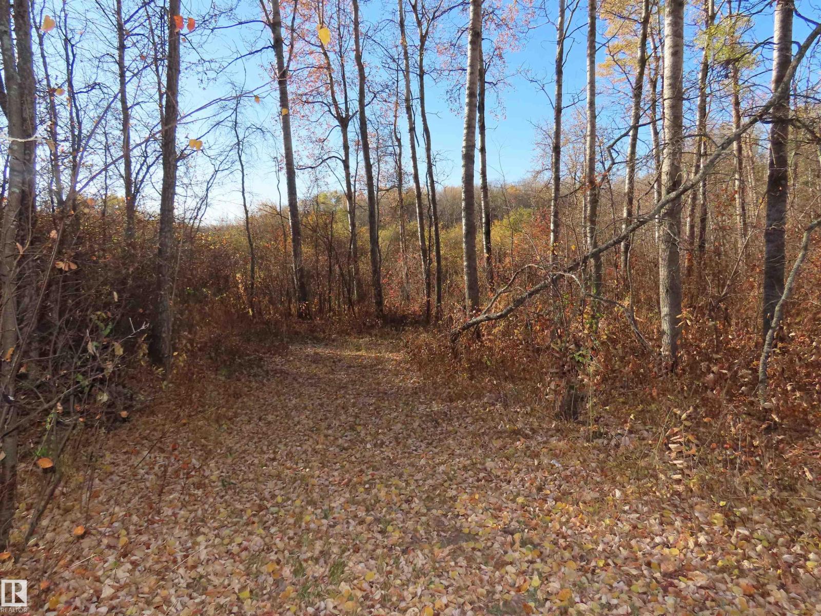 54425 Ste Anne Trail, Rural Lac Ste. Anne County, Alberta T0E 1V0 - Photo 15 - E4462131