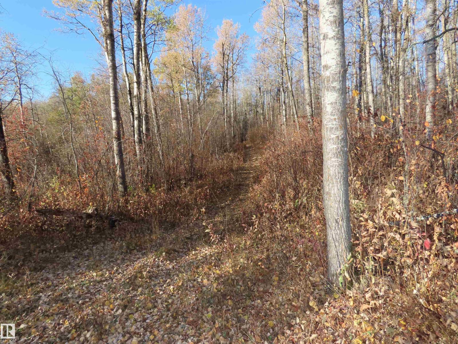 54425 Ste Anne Trail, Rural Lac Ste. Anne County, Alberta T0E 1V0 - Photo 16 - E4462131