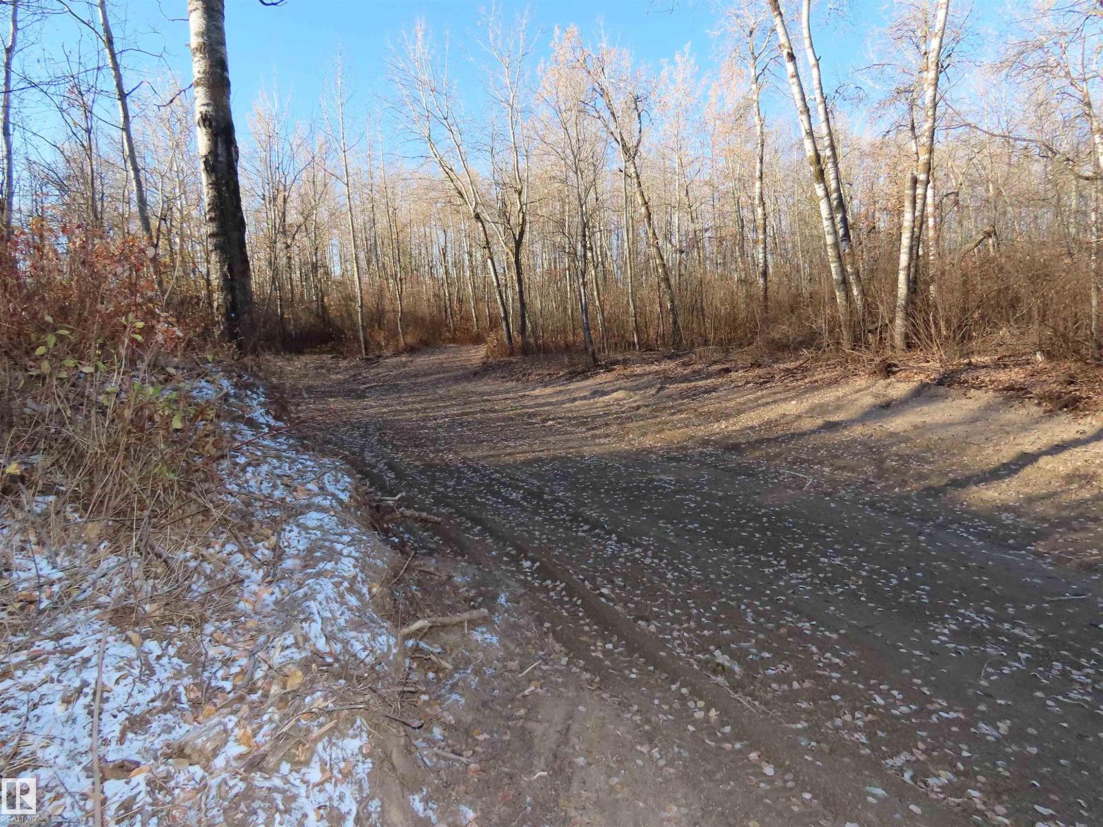 54425 Ste Anne Trail, Rural Lac Ste. Anne County, Alberta T0E 1V0 - Photo 19 - E4462131