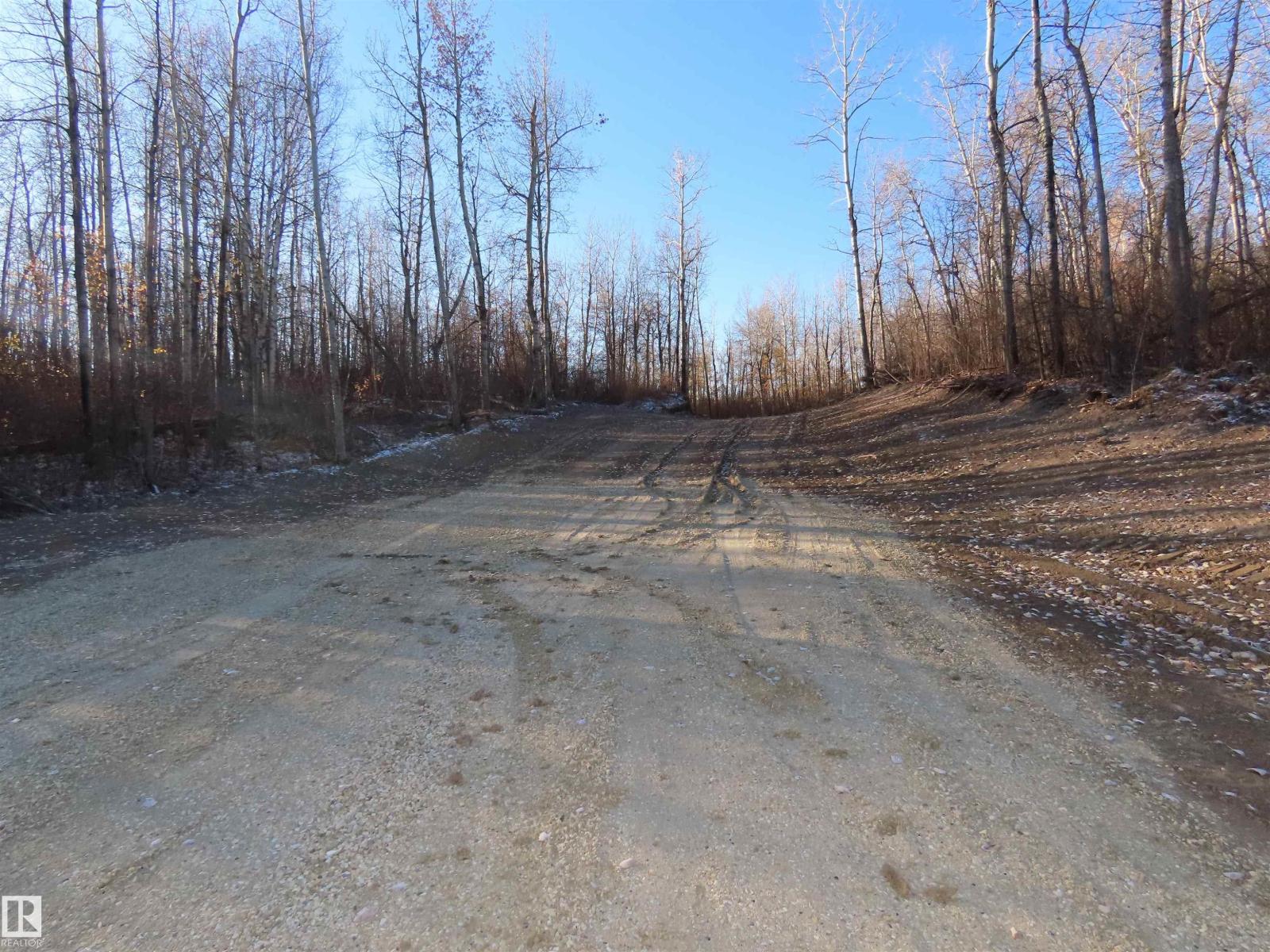 54425 Ste Anne Trail, Rural Lac Ste. Anne County, Alberta T0E 1V0 - Photo 6 - E4462131