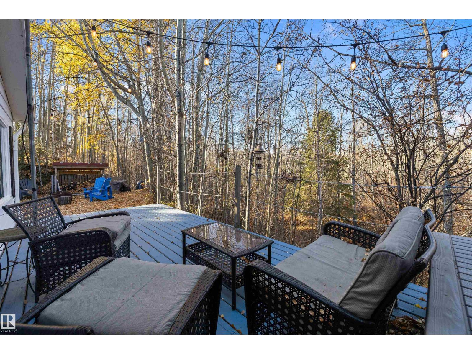 619 6th St, Rural Wetaskiwin County, Alberta  T0C 2V0 - Photo 47 - E4462685